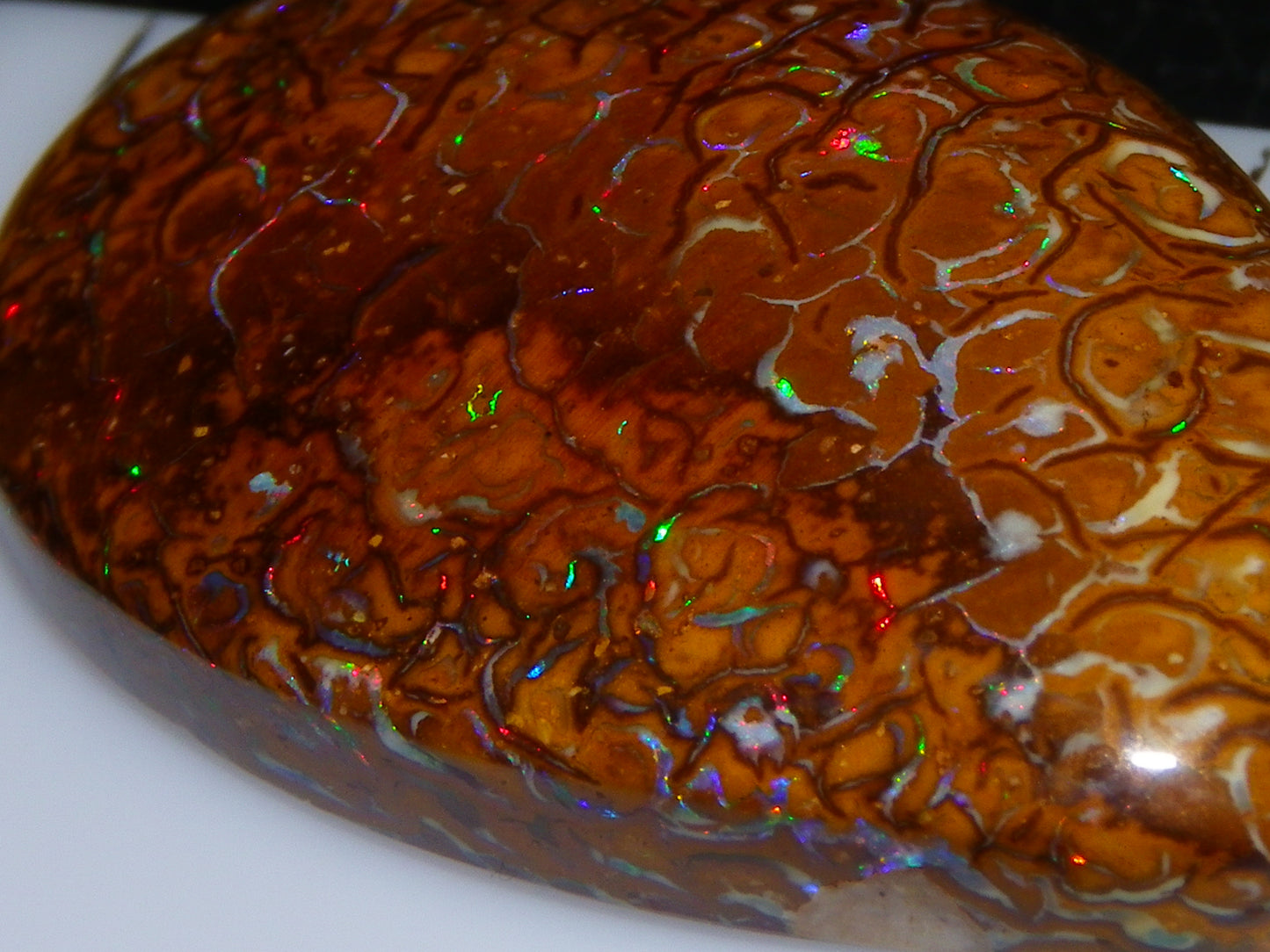 Nice Koroit Opal Skin Nut Cab 23.7cts Red/Green Fires/Patterns Queensland Australia