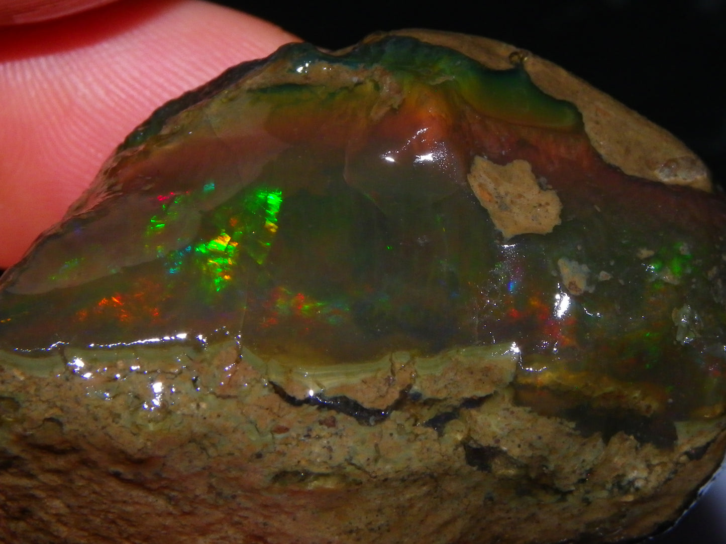 NIce Large Welo Crystal Opal specimen rough 221cts  Multicolours sat in Some sand