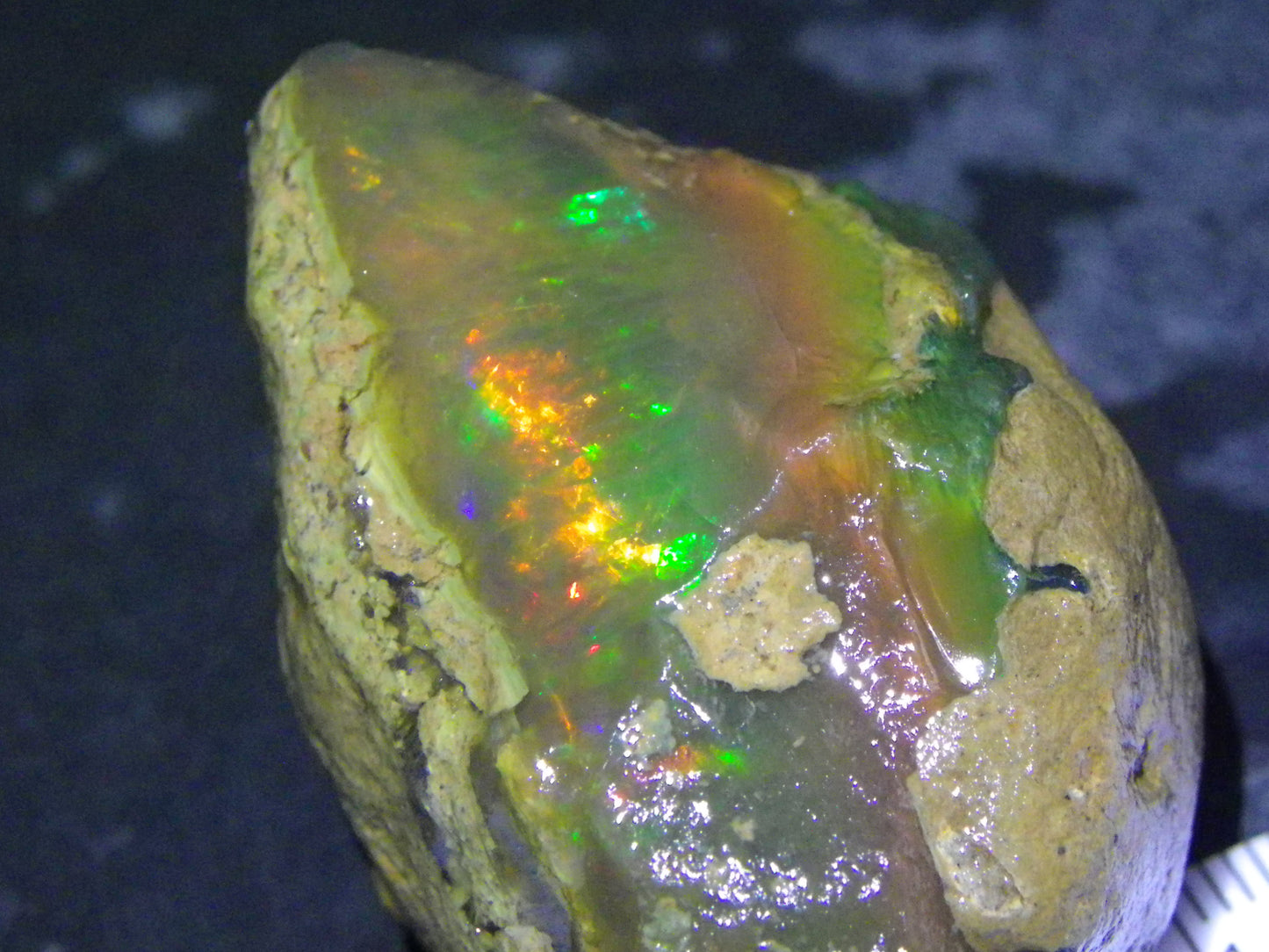 NIce Large Welo Crystal Opal specimen rough 221cts  Multicolours sat in Some sand