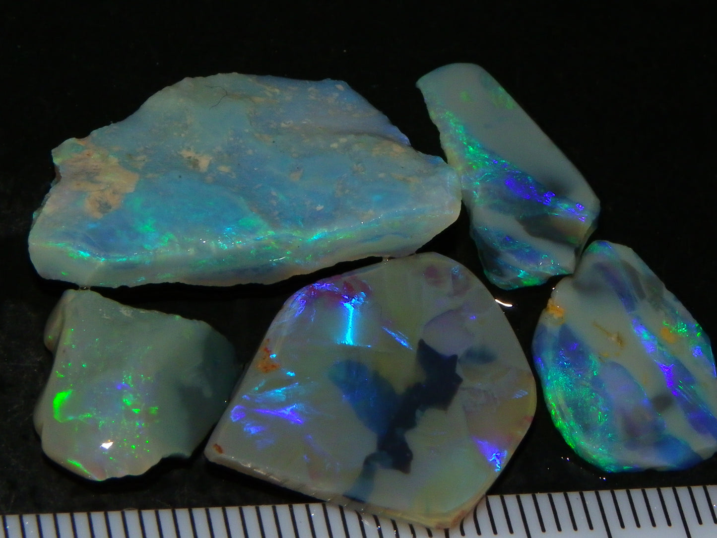 Nice Rubbed/Rough Opals 28.5cts Lightning Ridge South Australia Blue/Greens