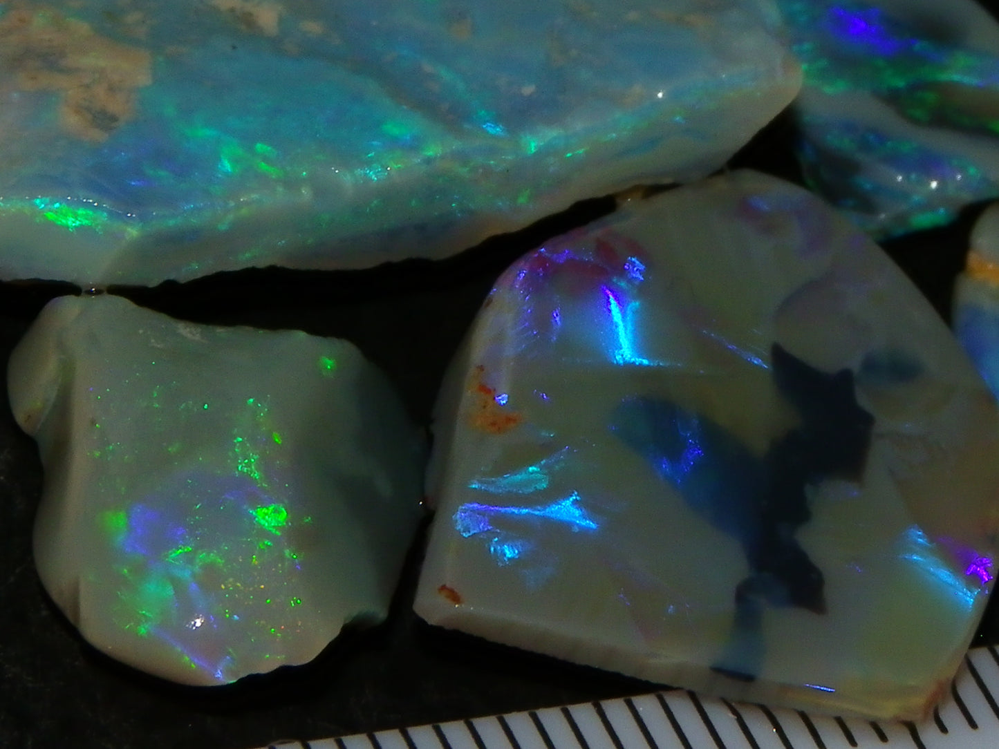 Nice Rubbed/Rough Opals 28.5cts Lightning Ridge South Australia Blue/Greens