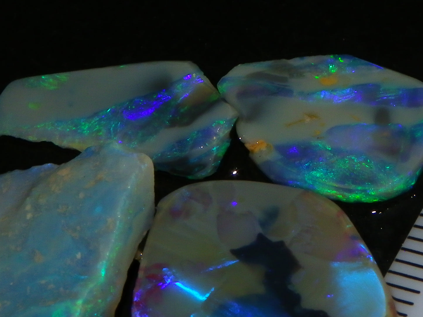 Nice Rubbed/Rough Opals 28.5cts Lightning Ridge South Australia Blue/Greens