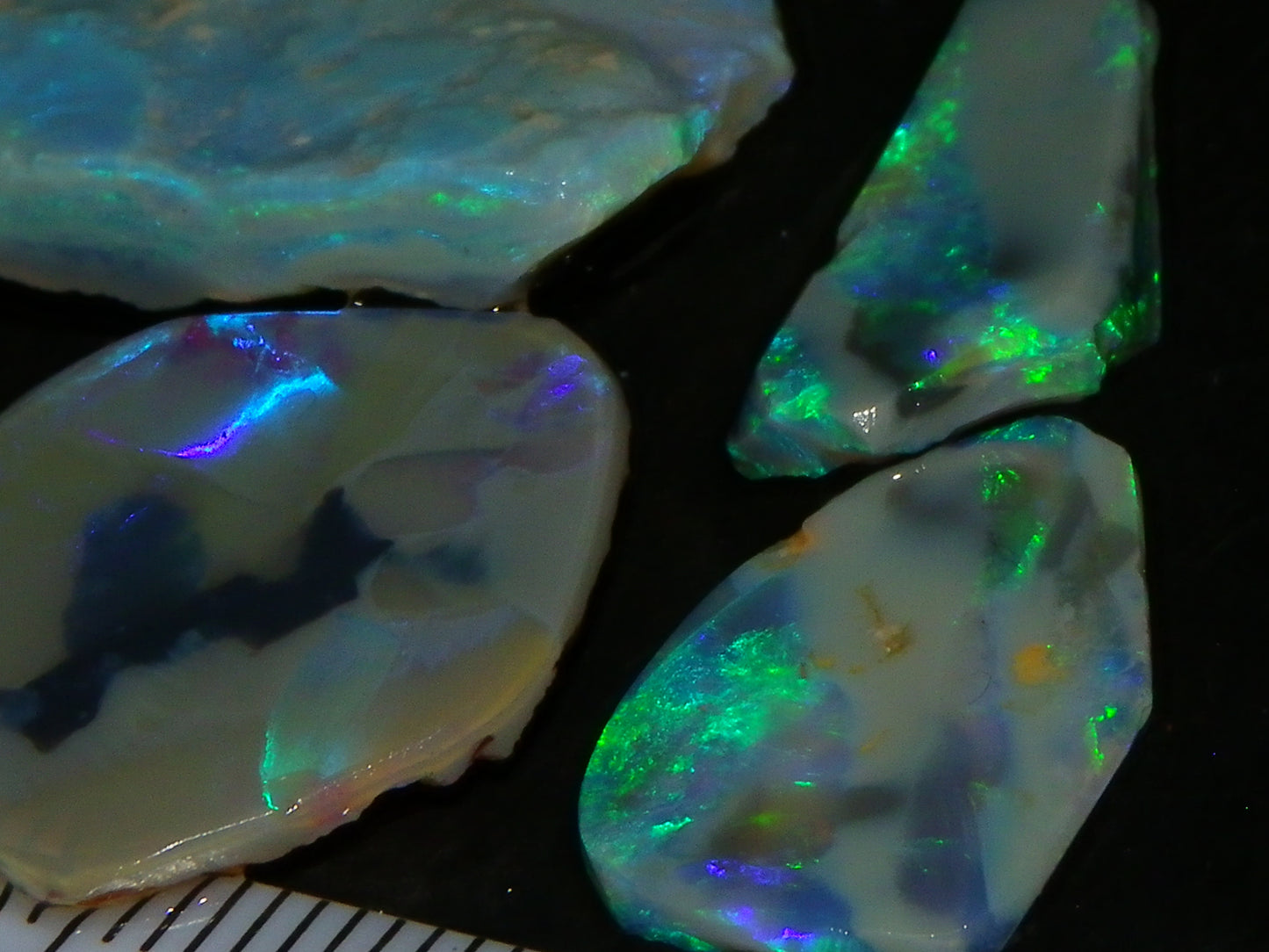 Nice Rubbed/Rough Opals 28.5cts Lightning Ridge South Australia Blue/Greens