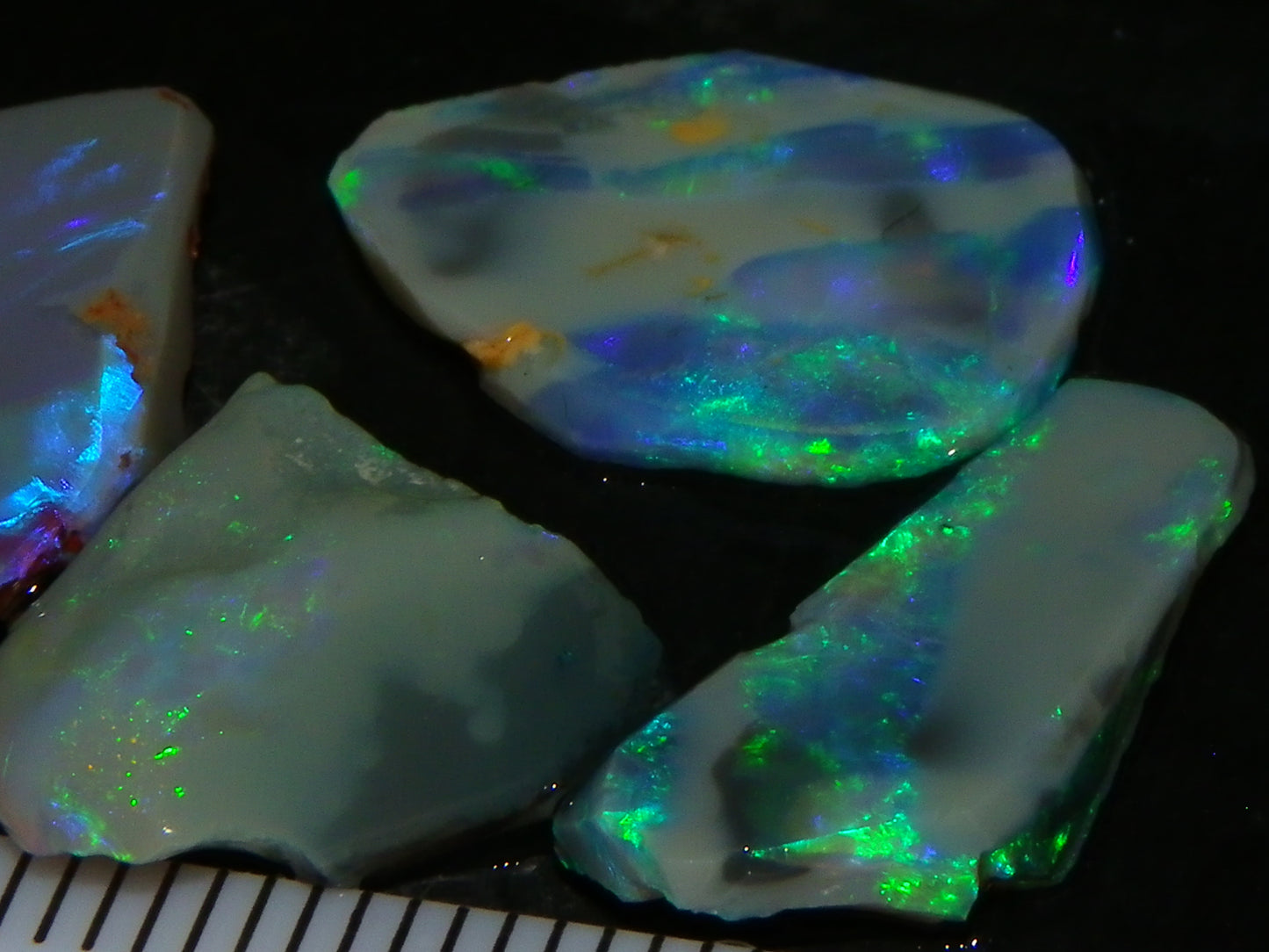 Nice Rubbed/Rough Opals 28.5cts Lightning Ridge South Australia Blue/Greens