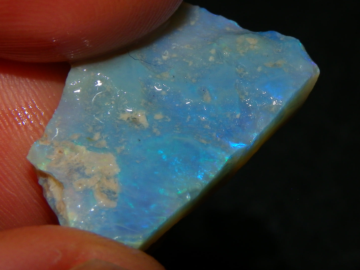 Nice Rubbed/Rough Opals 28.5cts Lightning Ridge South Australia Blue/Greens