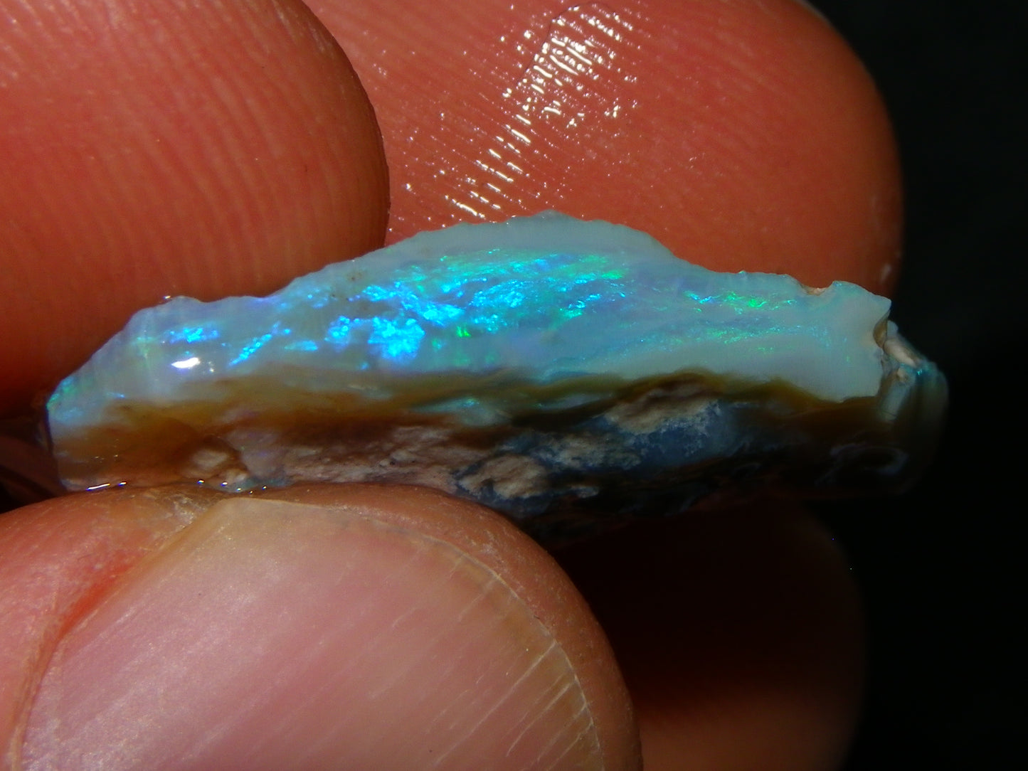 Nice Rubbed/Rough Opals 28.5cts Lightning Ridge South Australia Blue/Greens