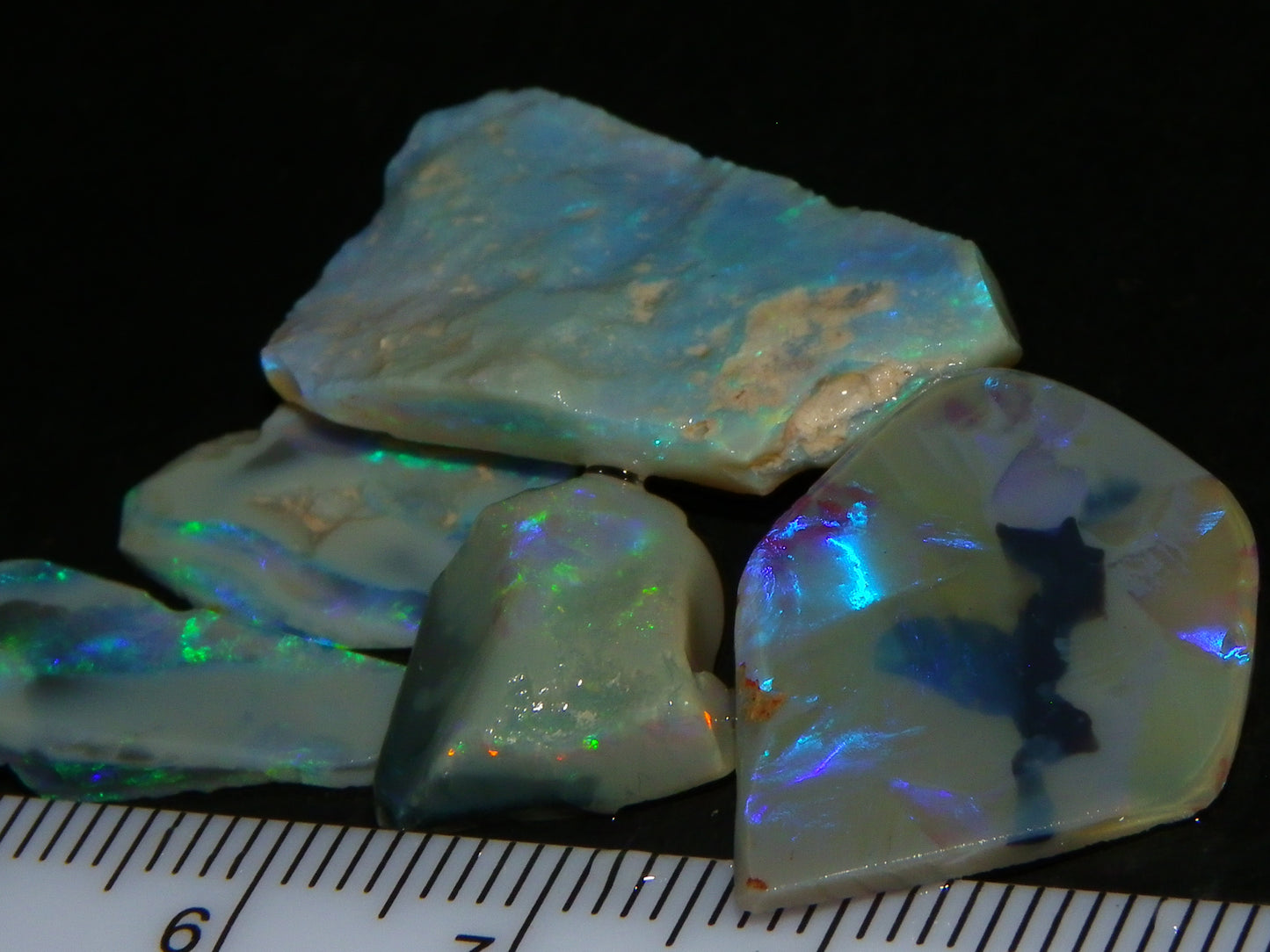 Nice Rubbed/Rough Opals 28.5cts Lightning Ridge South Australia Blue/Greens