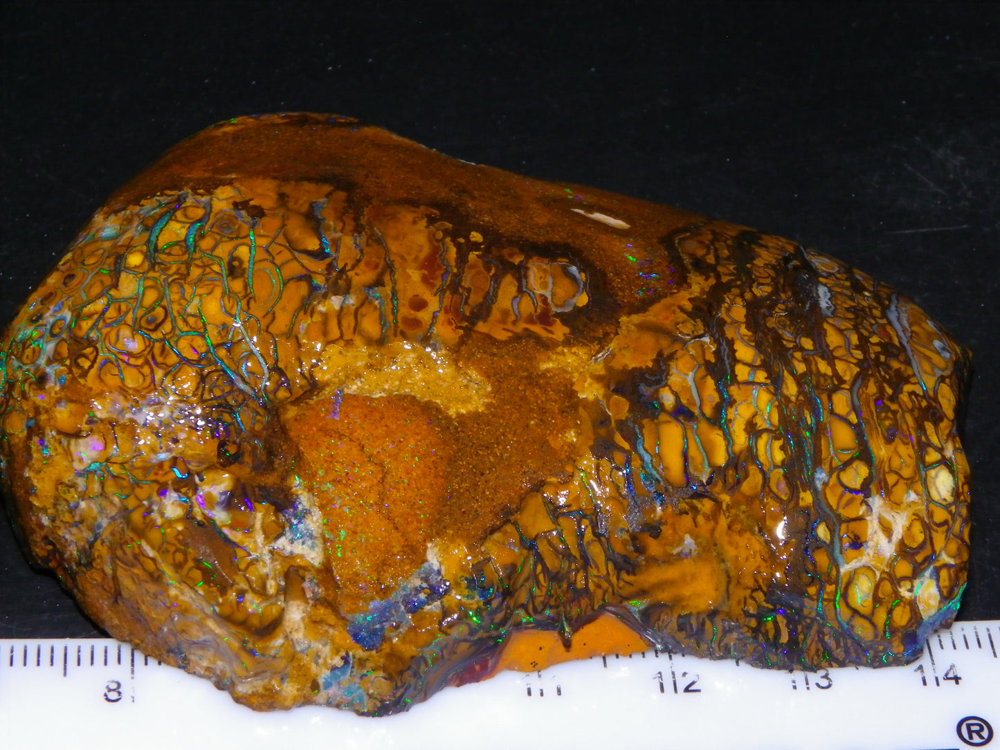 Huge Part Rubbed Koroit Opal Nut/Rough Specimen 649cts Green/Blue Fires/Vein/Patterns Qld Au