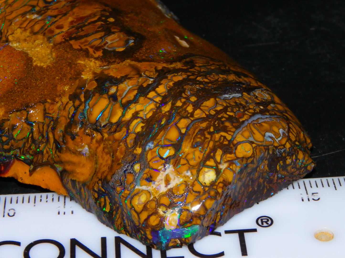 Huge Part Rubbed Koroit Opal Nut/Rough Specimen 649cts Green/Blue Fires/Vein/Patterns Qld Au