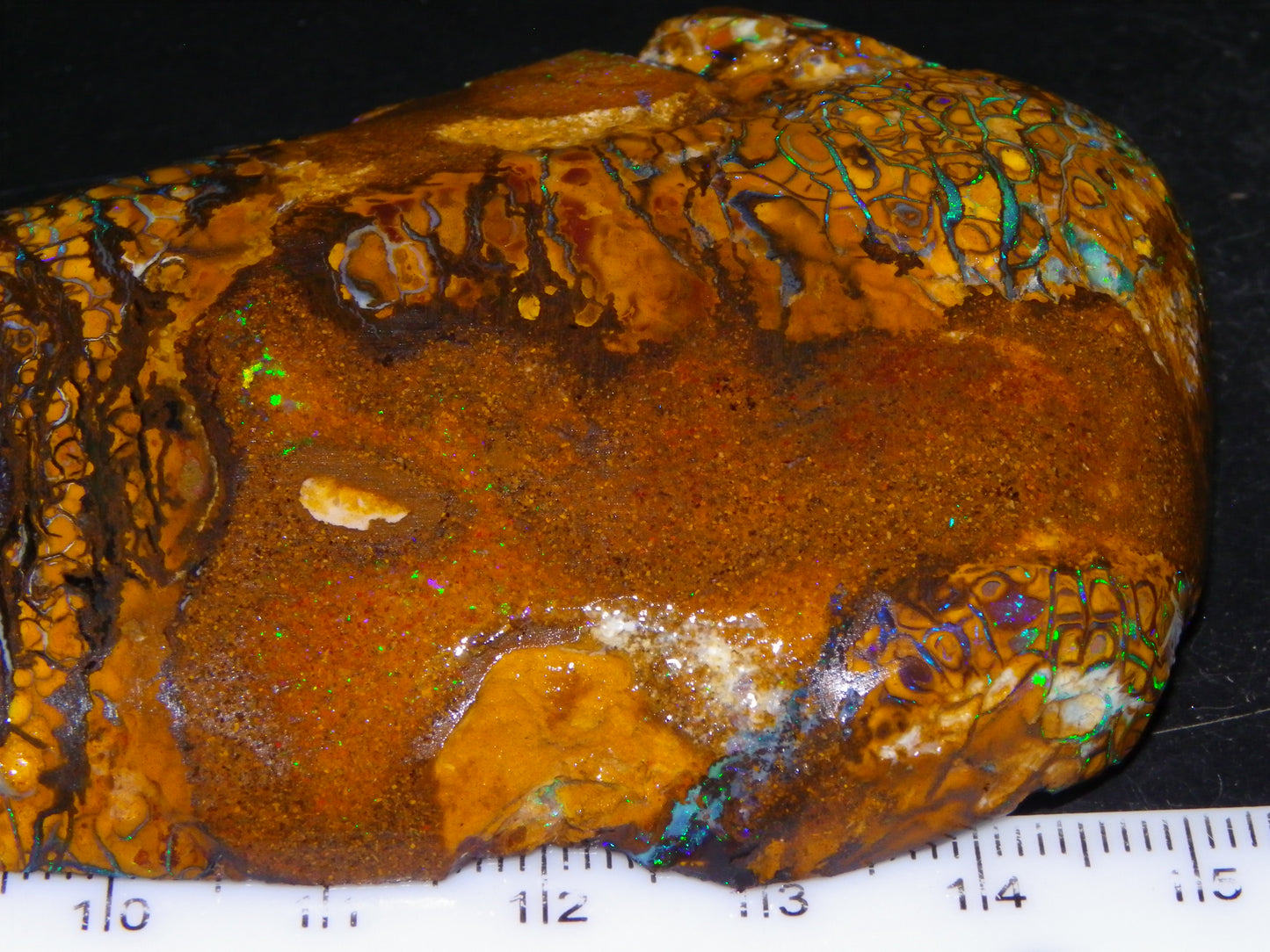 Huge Part Rubbed Koroit Opal Nut/Rough Specimen 649cts Green/Blue Fires/Vein/Patterns Qld Au