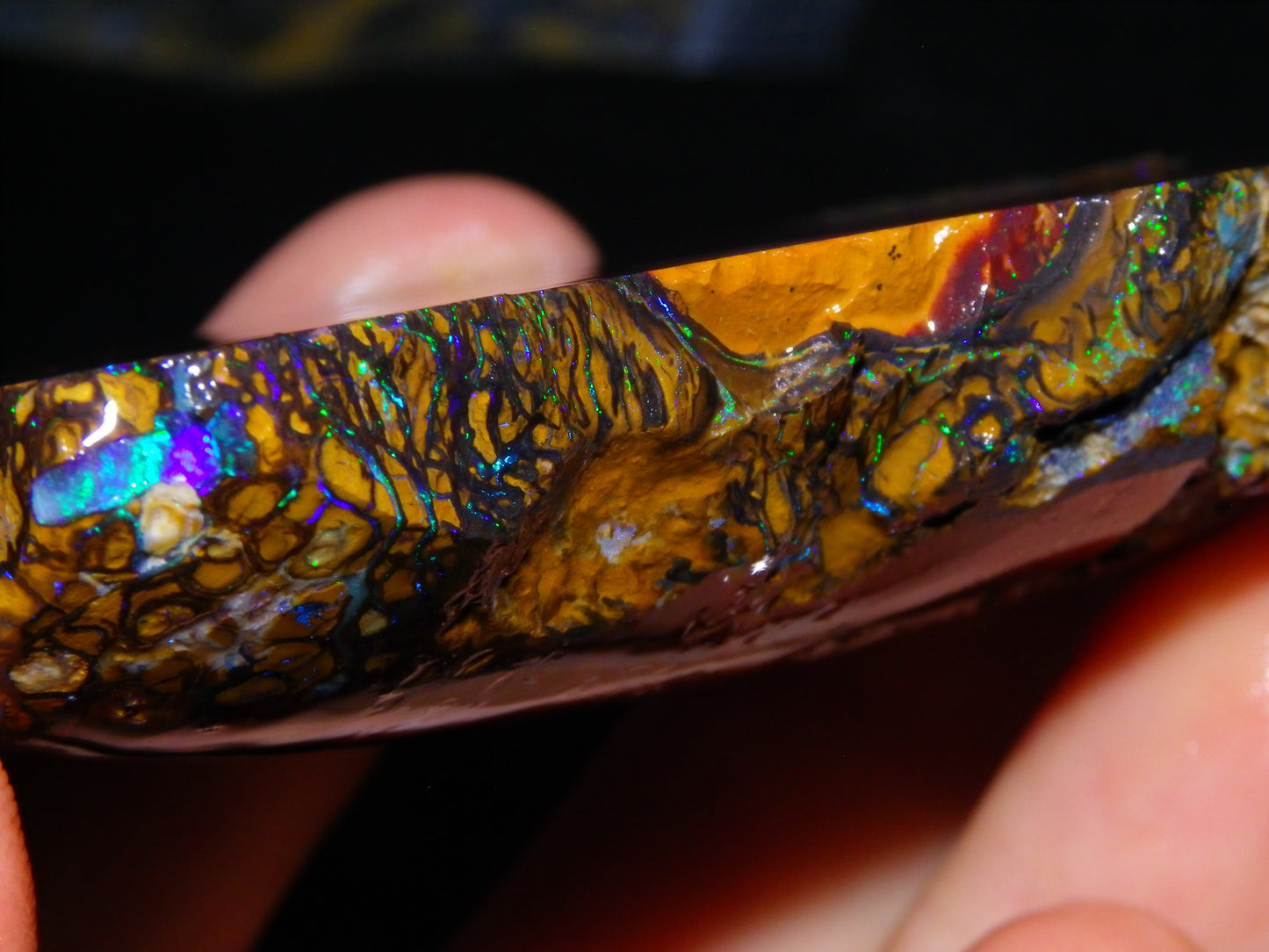 Huge Part Rubbed Koroit Opal Nut/Rough Specimen 649cts Green/Blue Fires/Vein/Patterns Qld Au