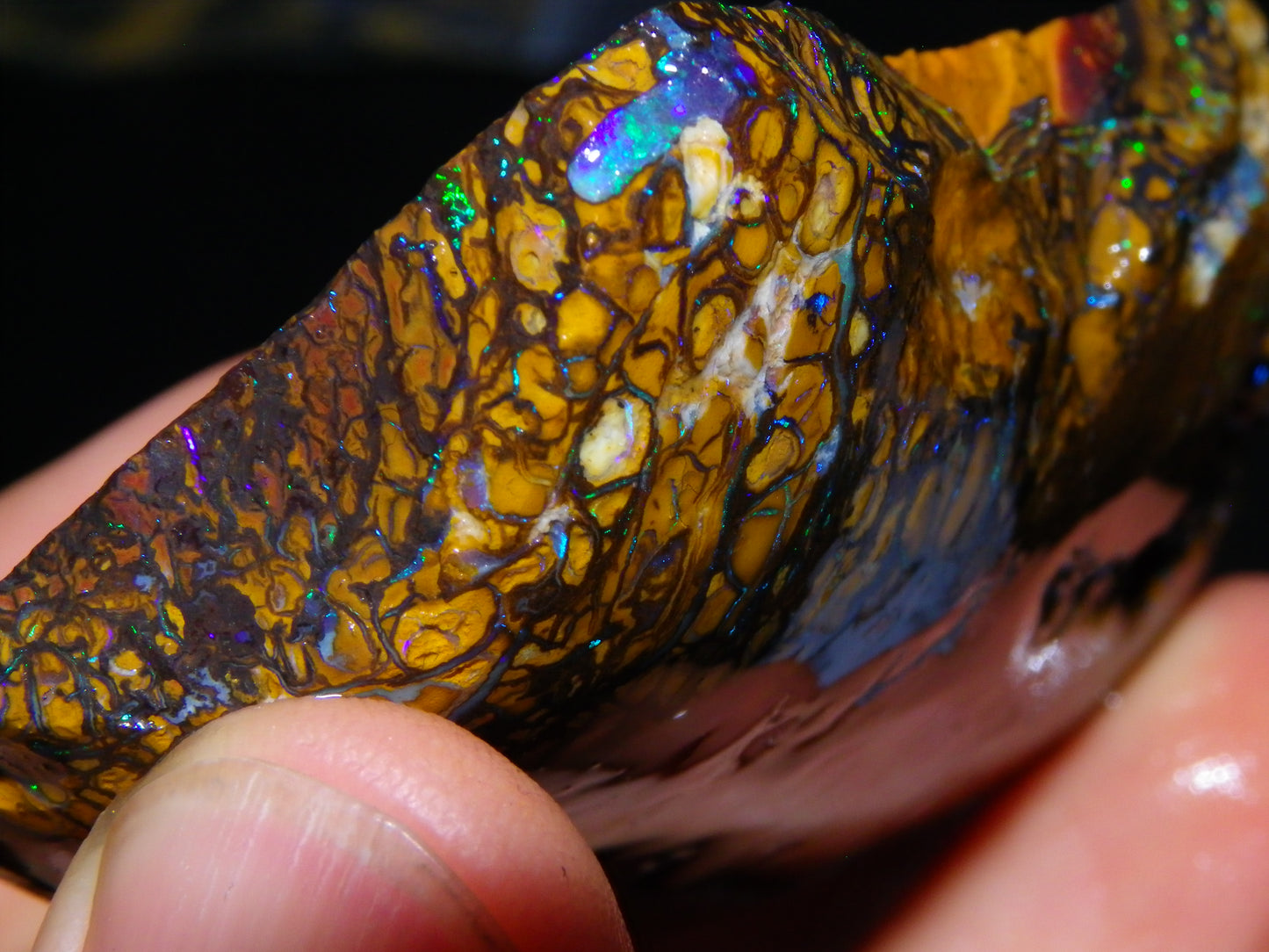 Huge Part Rubbed Koroit Opal Nut/Rough Specimen 649cts Green/Blue Fires/Vein/Patterns Qld Au