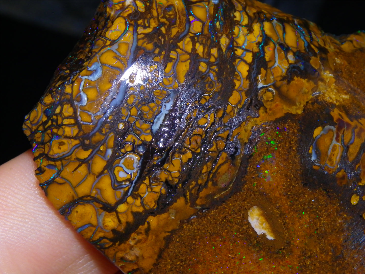 Huge Part Rubbed Koroit Opal Nut/Rough Specimen 649cts Green/Blue Fires/Vein/Patterns Qld Au