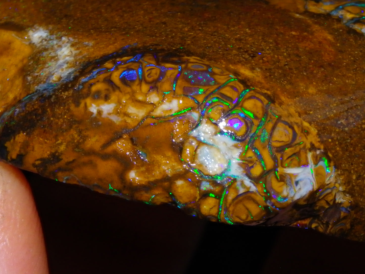 Huge Part Rubbed Koroit Opal Nut/Rough Specimen 649cts Green/Blue Fires/Vein/Patterns Qld Au