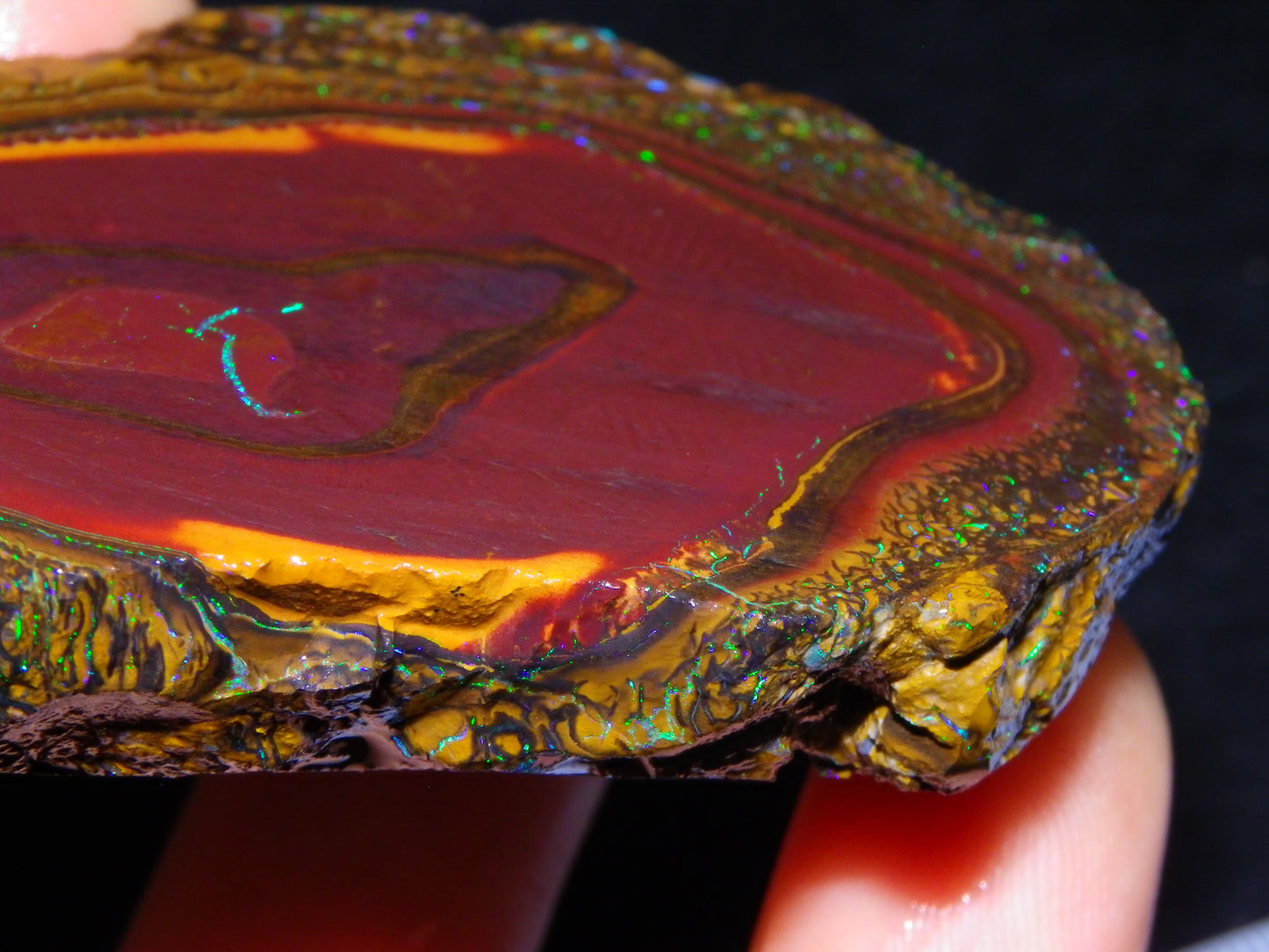 Huge Part Rubbed Koroit Opal Nut/Rough Specimen 649cts Green/Blue Fires/Vein/Patterns Qld Au