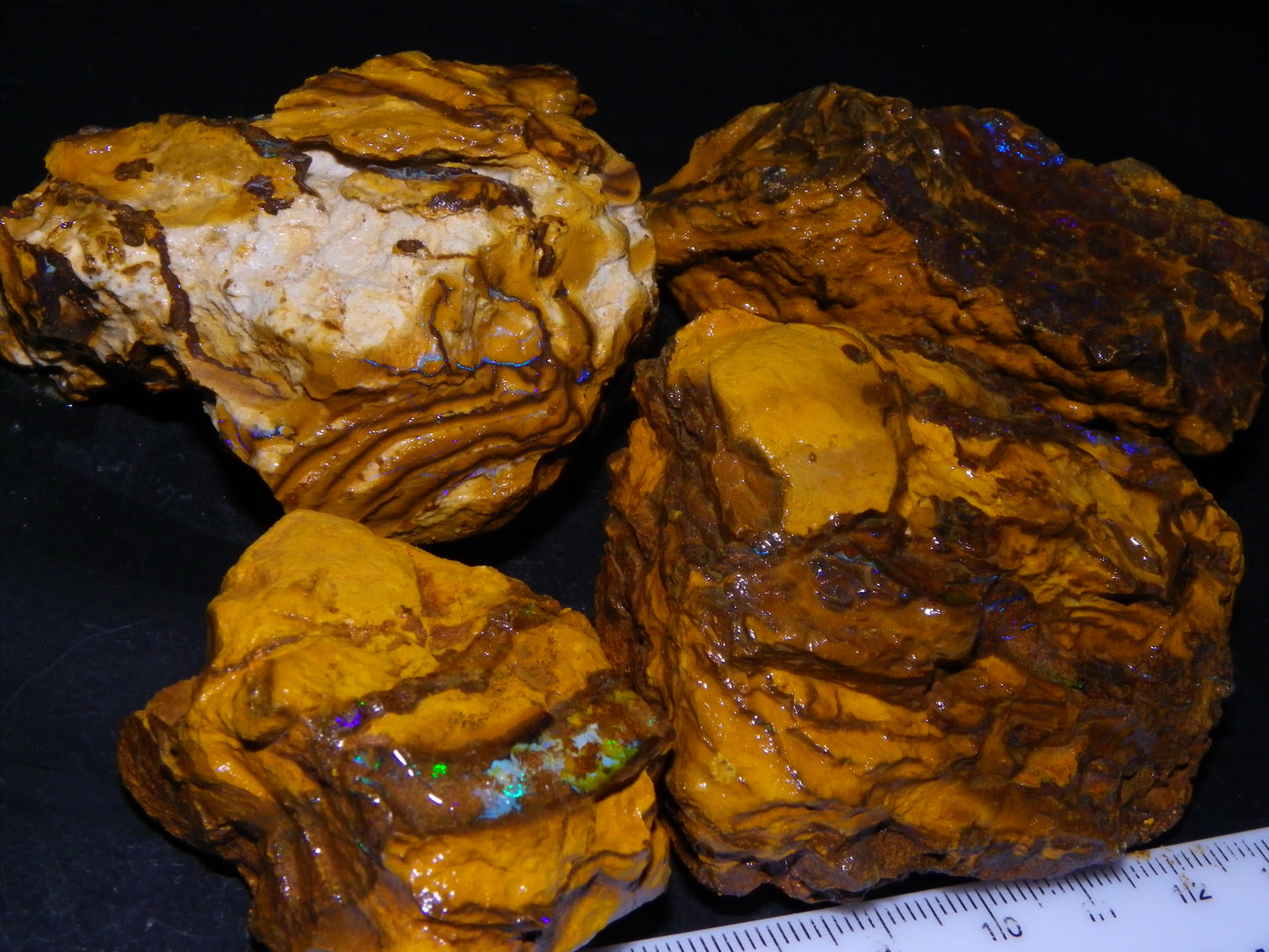 4 Larger Queensland Matrix/Fossil Opal Rough Specimens 1830.5cts Some Fires Australia