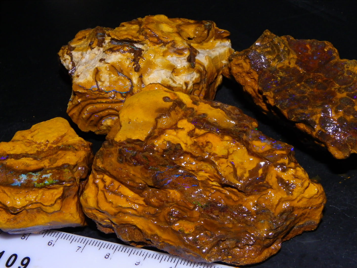 4 Larger Queensland Matrix/Fossil Opal Rough Specimens 1830.5cts Some Fires Australia