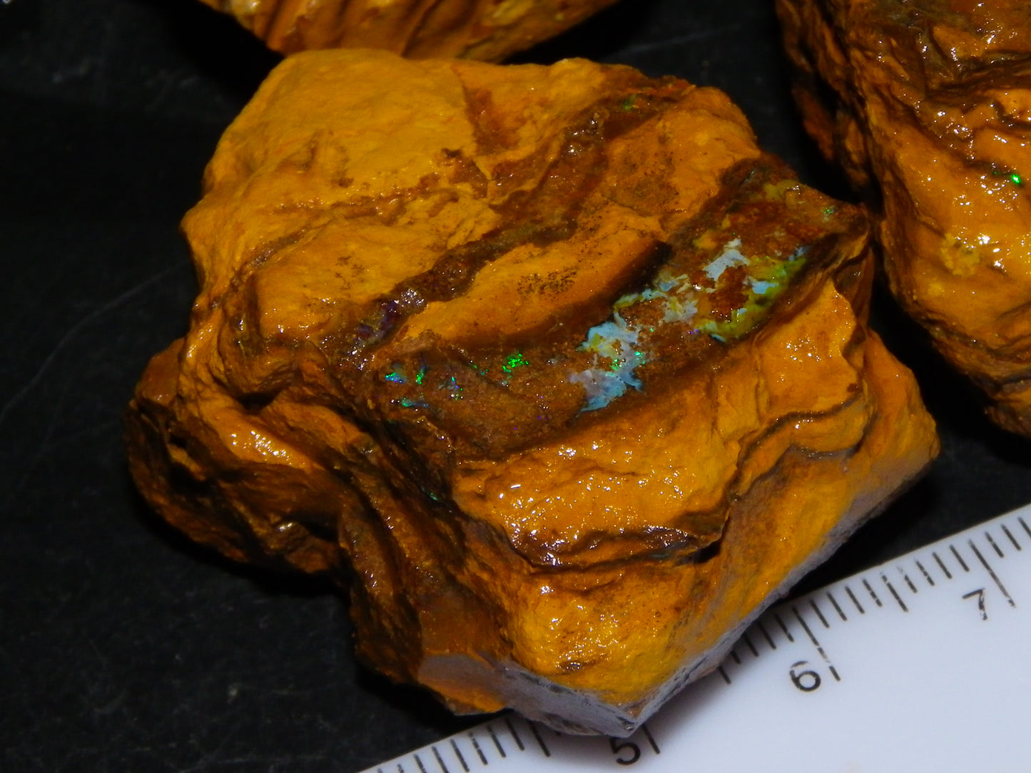 4 Larger Queensland Matrix/Fossil Opal Rough Specimens 1830.5cts Some Fires Australia