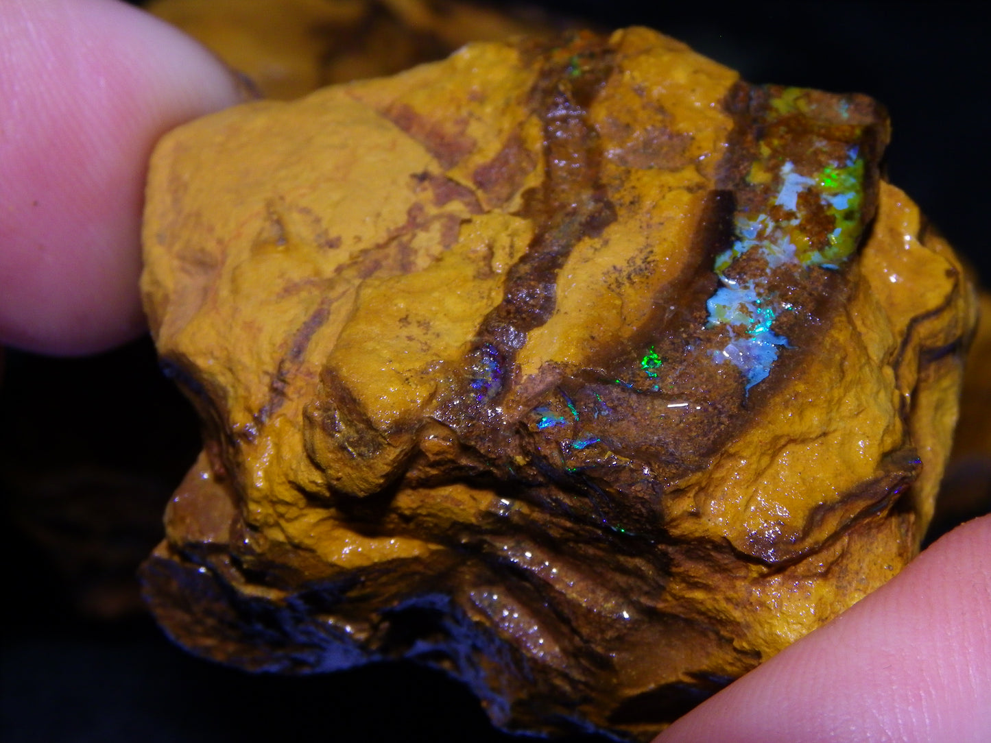 4 Larger Queensland Matrix/Fossil Opal Rough Specimens 1830.5cts Some Fires Australia