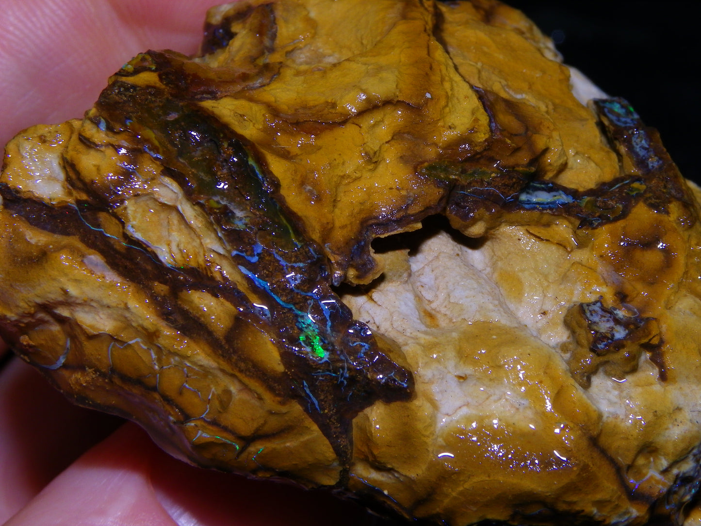 4 Larger Queensland Matrix/Fossil Opal Rough Specimens 1830.5cts Some Fires Australia