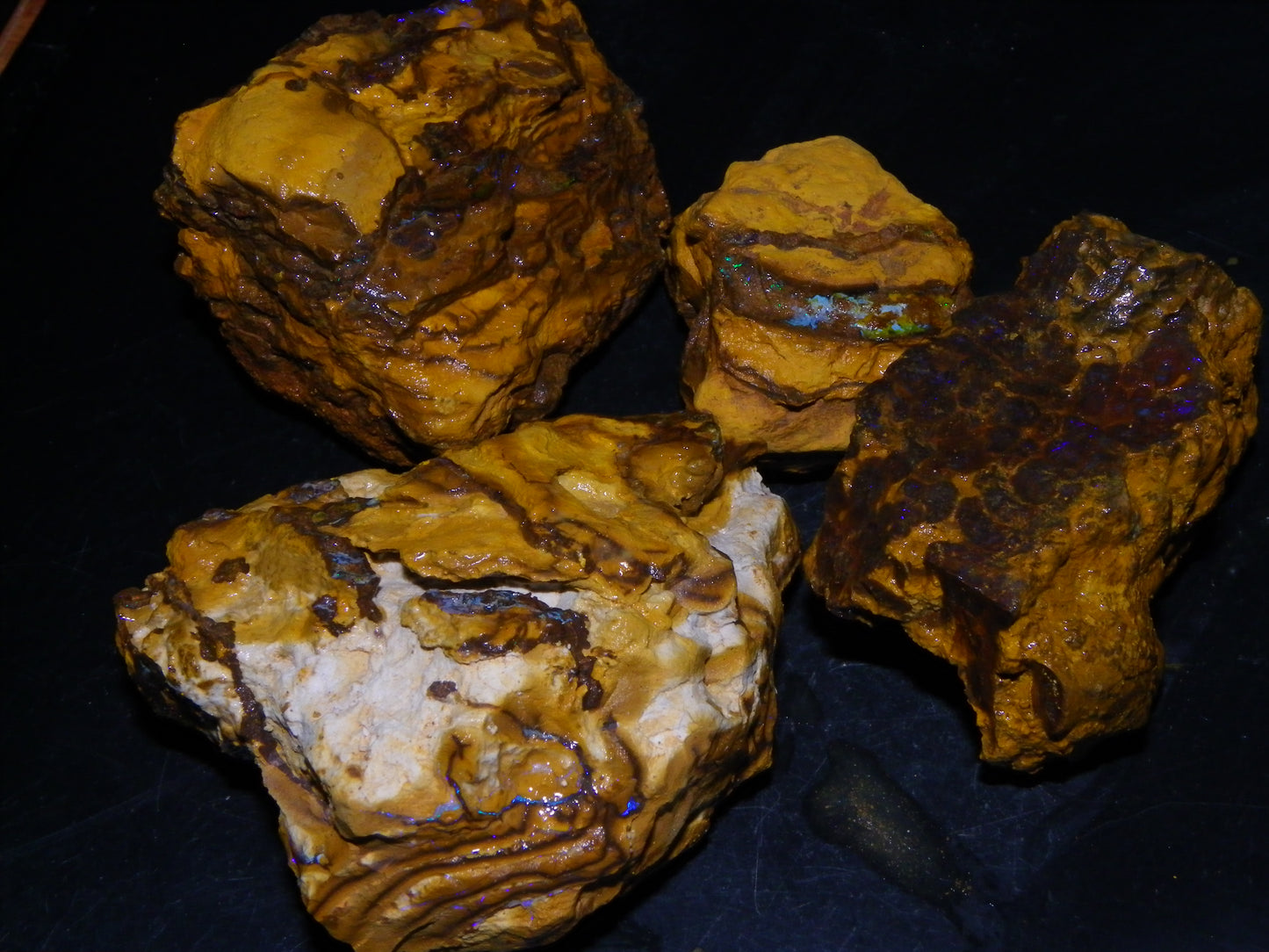 4 Larger Queensland Matrix/Fossil Opal Rough Specimens 1830.5cts Some Fires Australia