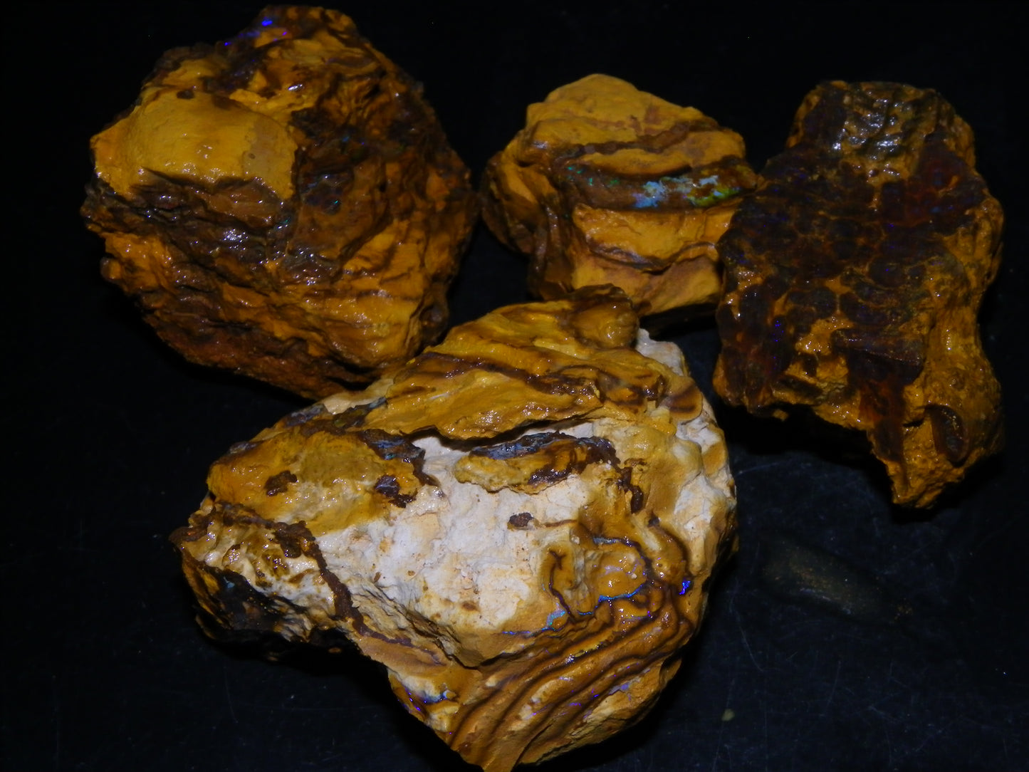 4 Larger Queensland Matrix/Fossil Opal Rough Specimens 1830.5cts Some Fires Australia