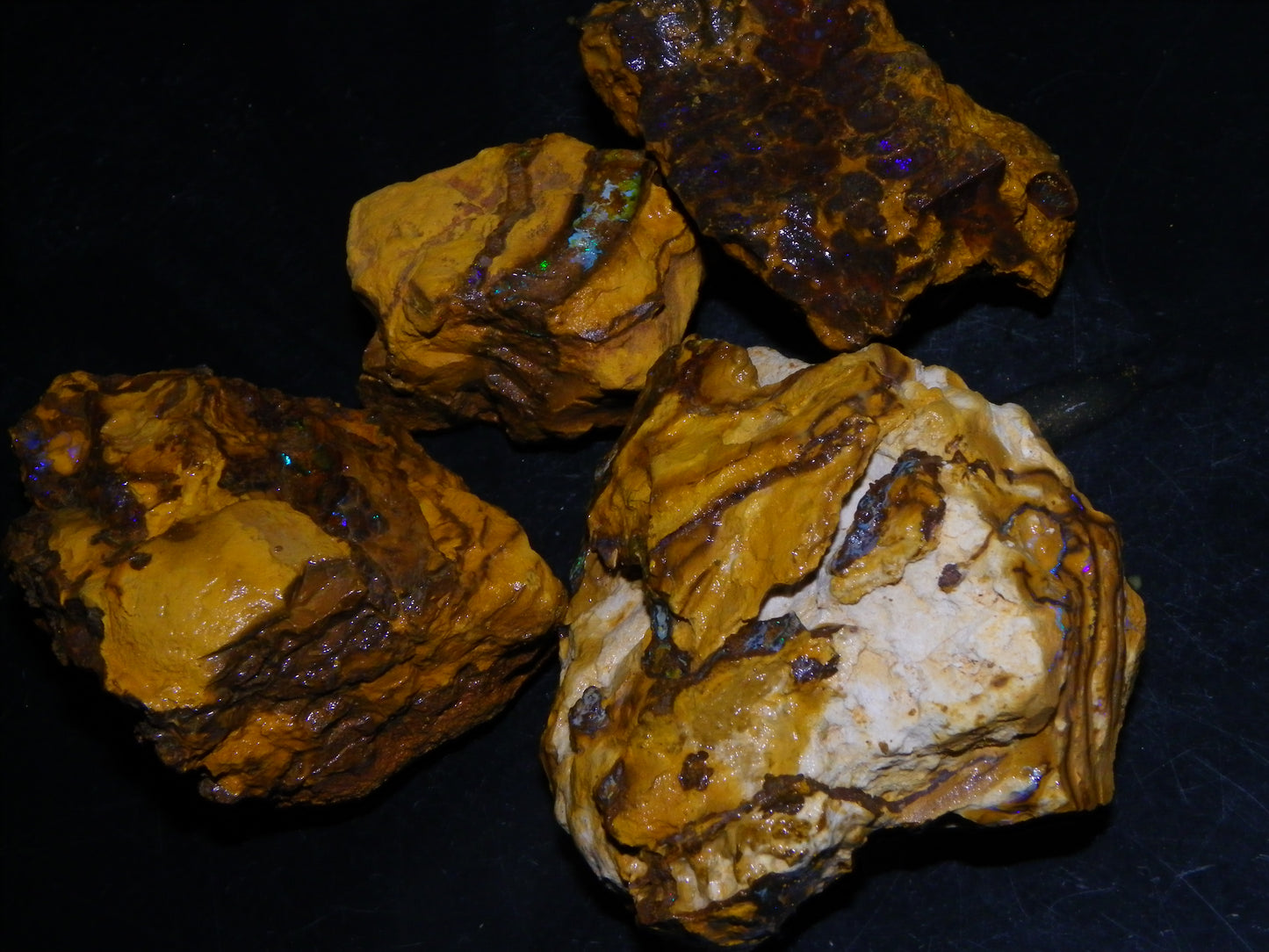 4 Larger Queensland Matrix/Fossil Opal Rough Specimens 1830.5cts Some Fires Australia