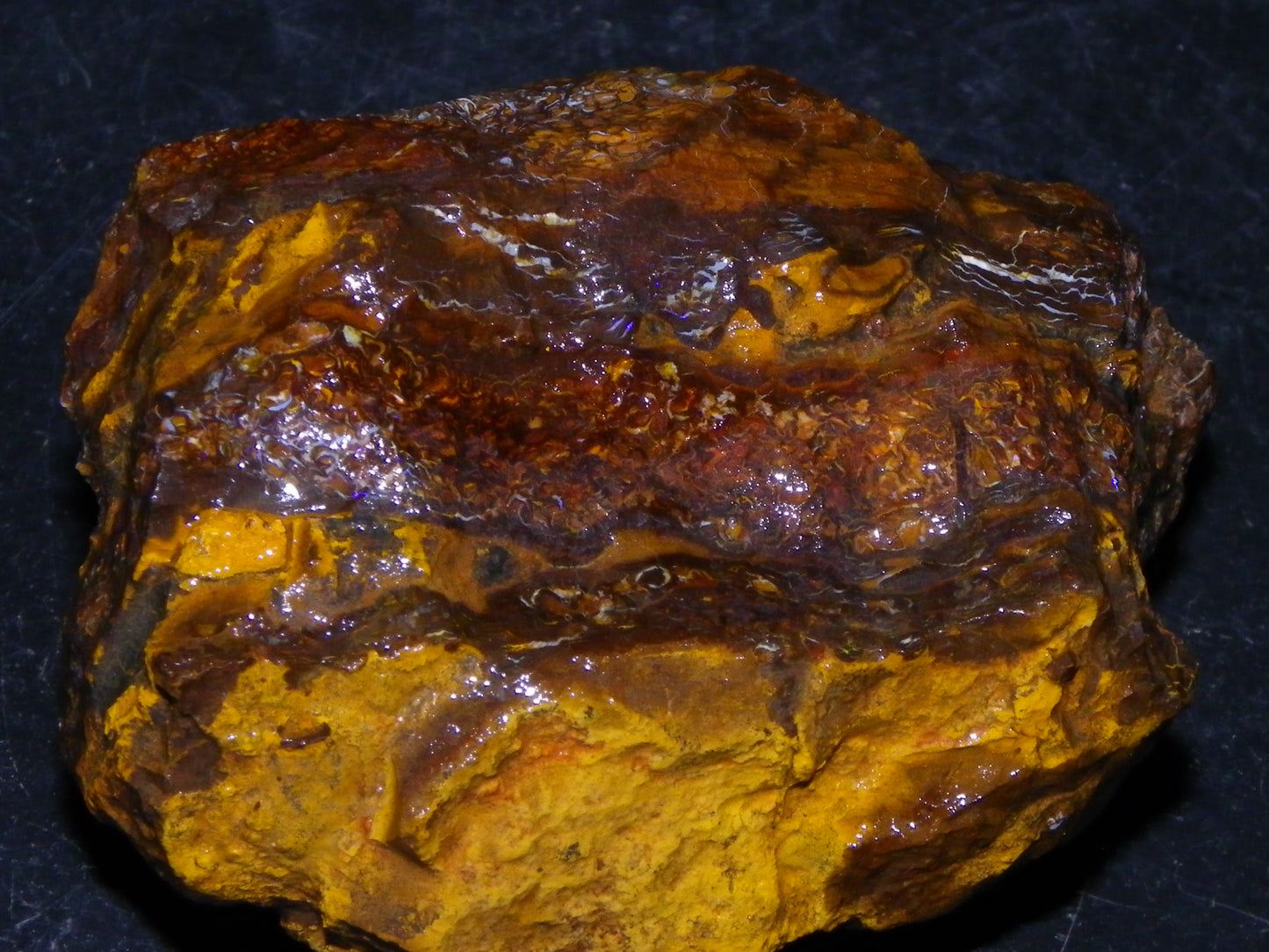 Nice Koroit Opal Rough Specimen Chunk 1169cts Some Pattern/Slight Fires Qld Australia