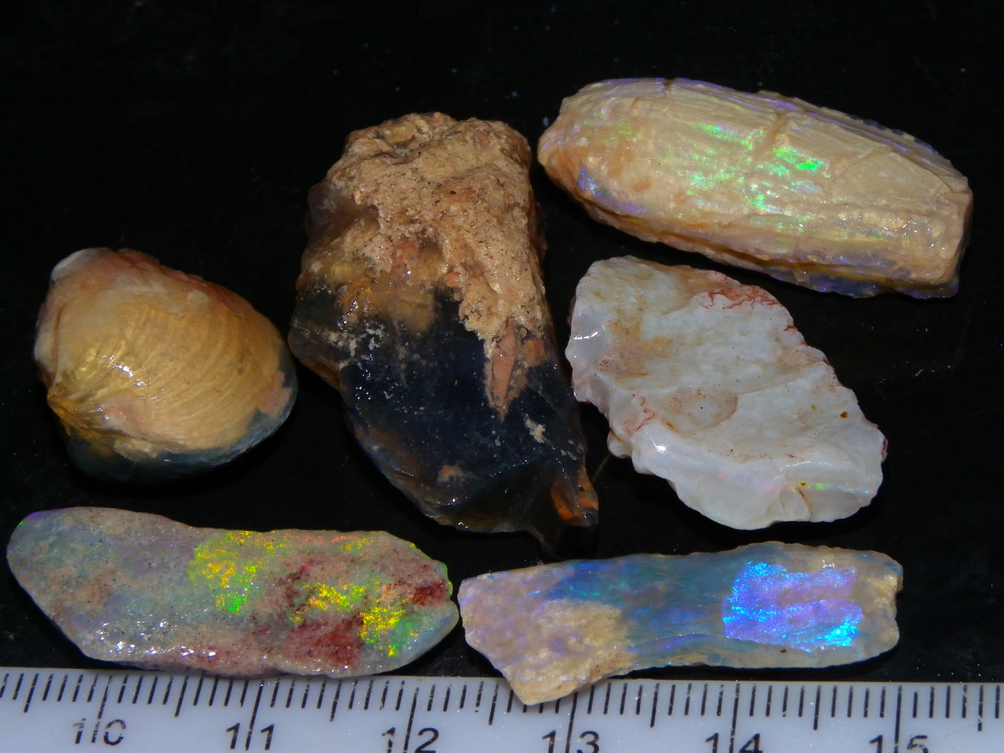 Quality Lightning Ridge Fossil Opal Rough Parcel 105cts Shell/Plants Fires Collectors