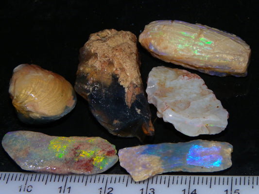 Quality Lightning Ridge Fossil Opal Rough Parcel 105cts Shell/Plants Fires Collectors