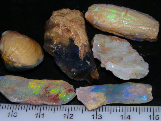 Quality Lightning Ridge Fossil Opal Rough Parcel 105cts Shell/Plants Fires Collectors