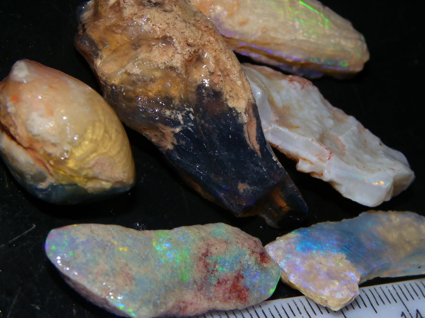 Quality Lightning Ridge Fossil Opal Rough Parcel 105cts Shell/Plants Fires Collectors