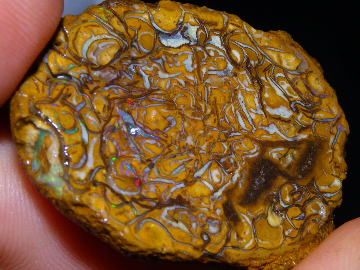 Larger Rough Koroit Opal Rough Parcel 1252cts Nuts/Patterns Some Fires Qld Australia