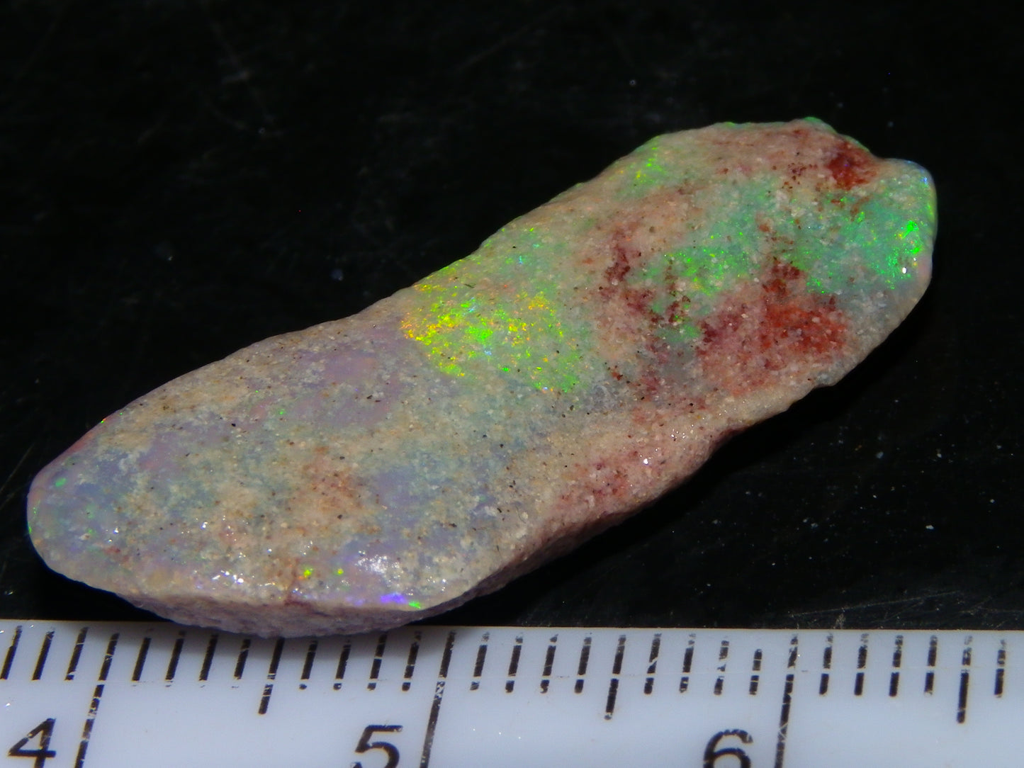 Quality Lightning Ridge Fossil Opal Rough Parcel 105cts Shell/Plants Fires Collectors