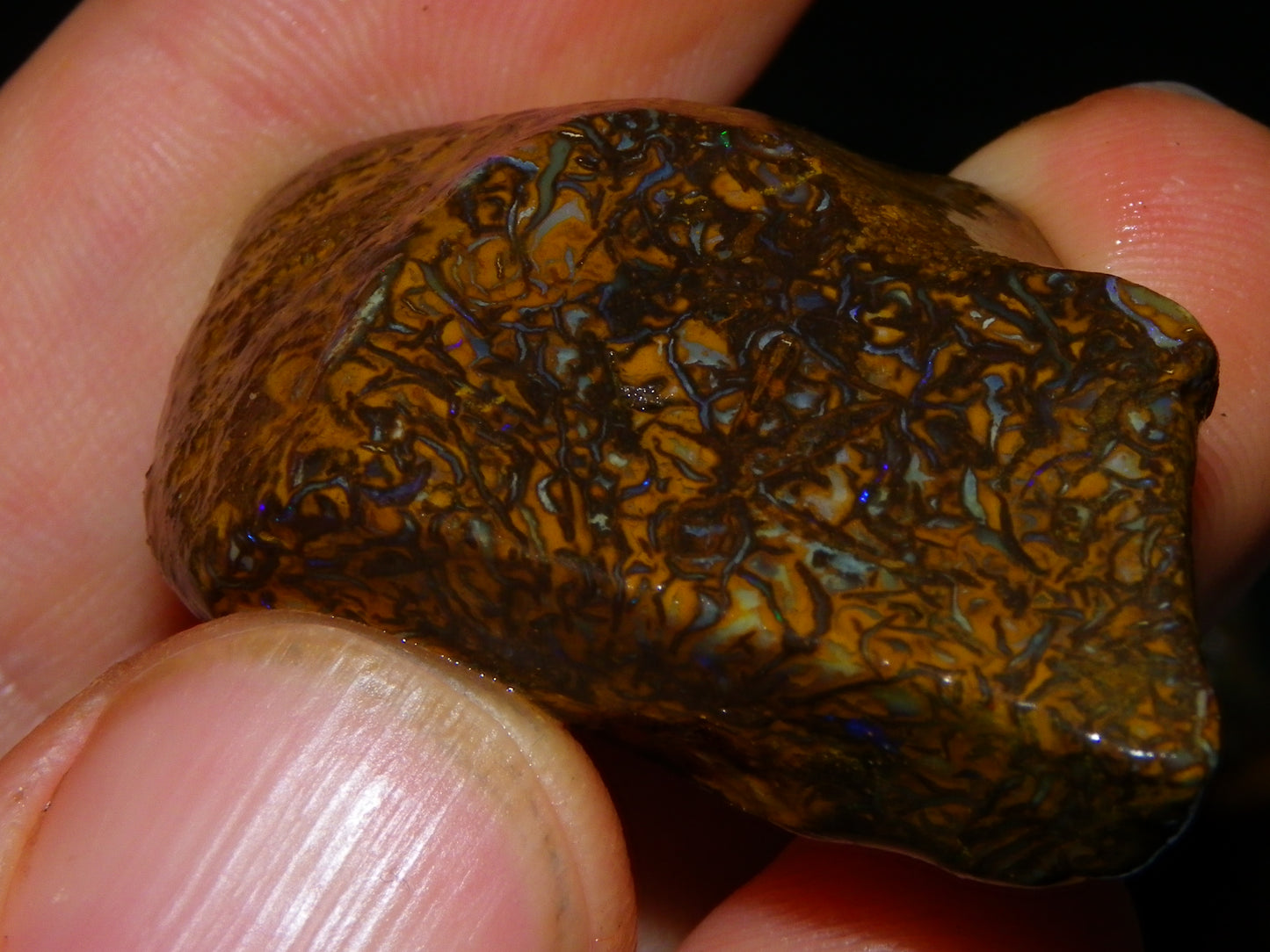 Larger Rough Koroit Opal Rough Parcel 1252cts Nuts/Patterns Some Fires Qld Australia