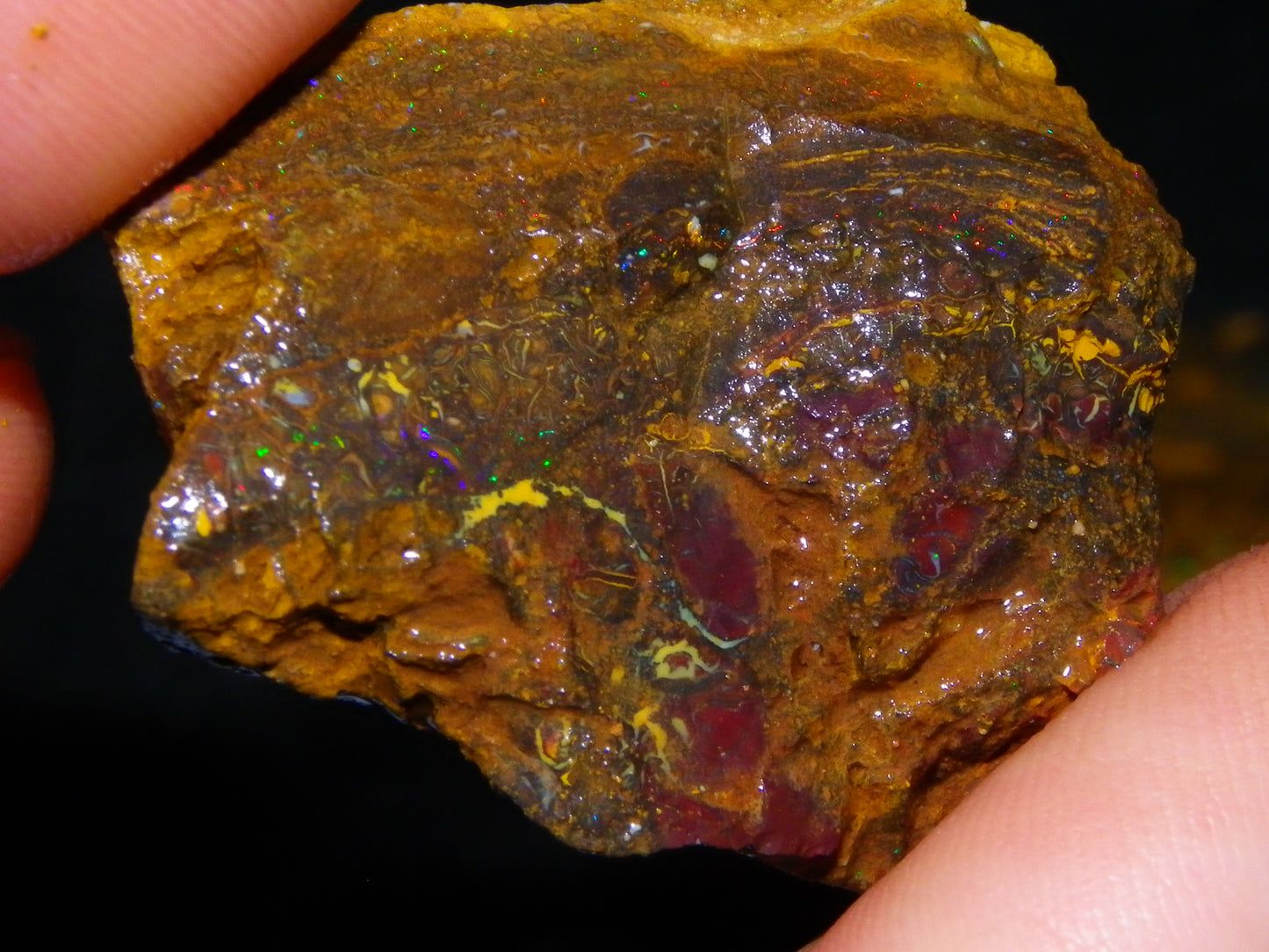 Larger Rough Koroit Opal Rough Parcel 1252cts Nuts/Patterns Some Fires Qld Australia