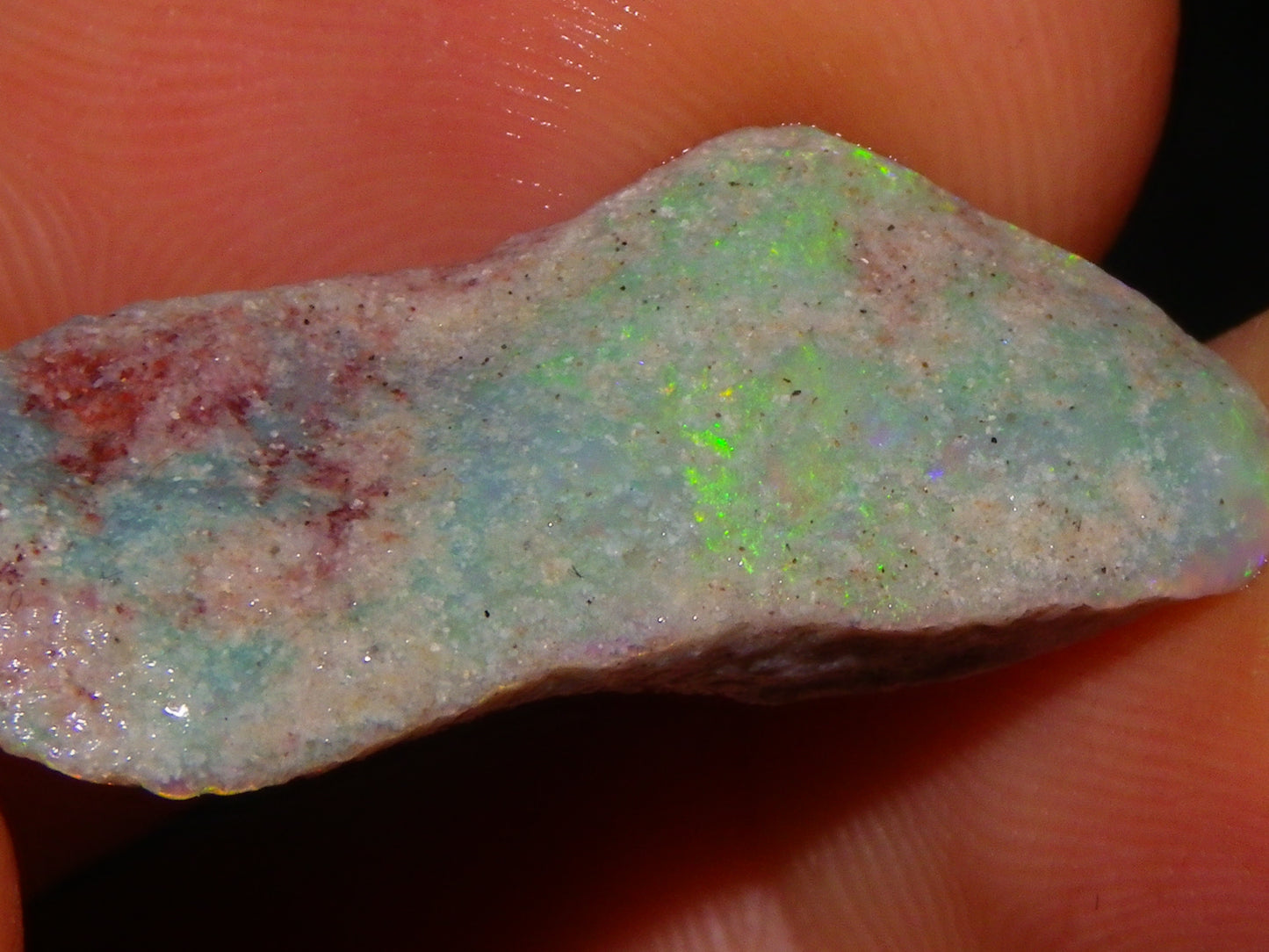 Quality Lightning Ridge Fossil Opal Rough Parcel 105cts Shell/Plants Fires Collectors