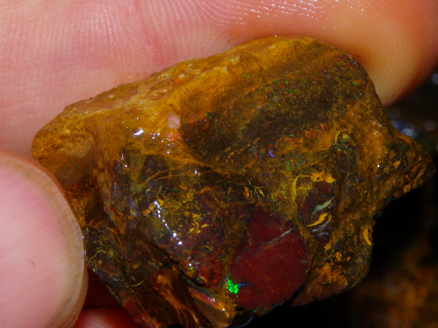 Larger Rough Koroit Opal Rough Parcel 1252cts Nuts/Patterns Some Fires Qld Australia