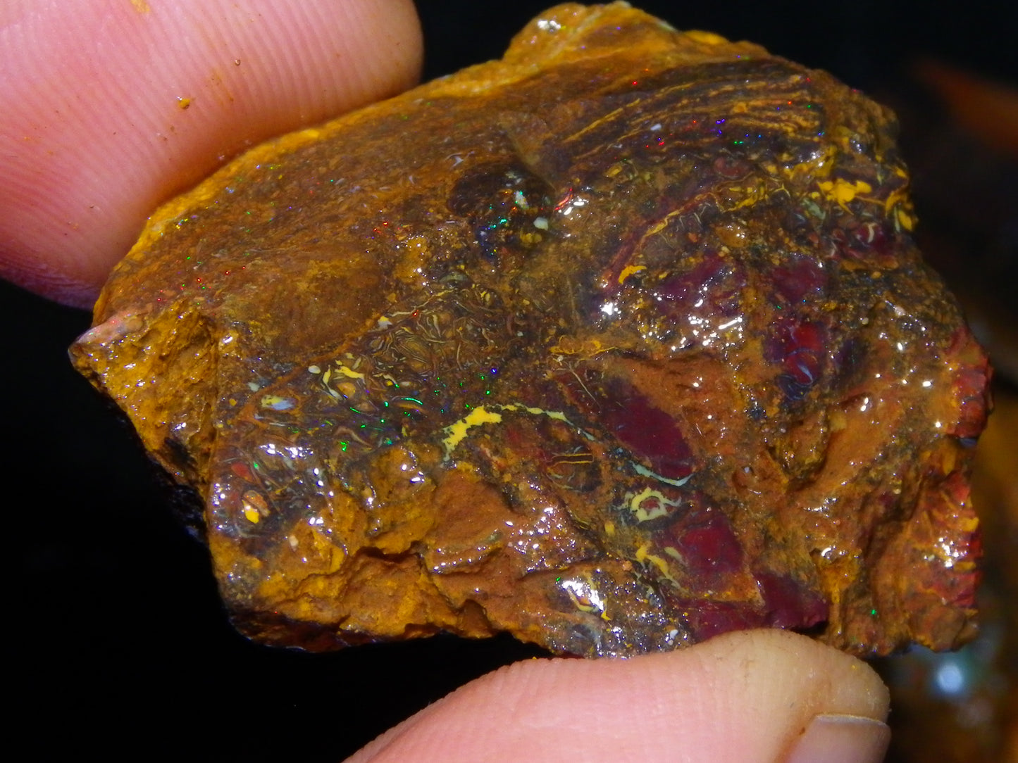 Larger Rough Koroit Opal Rough Parcel 1252cts Nuts/Patterns Some Fires Qld Australia