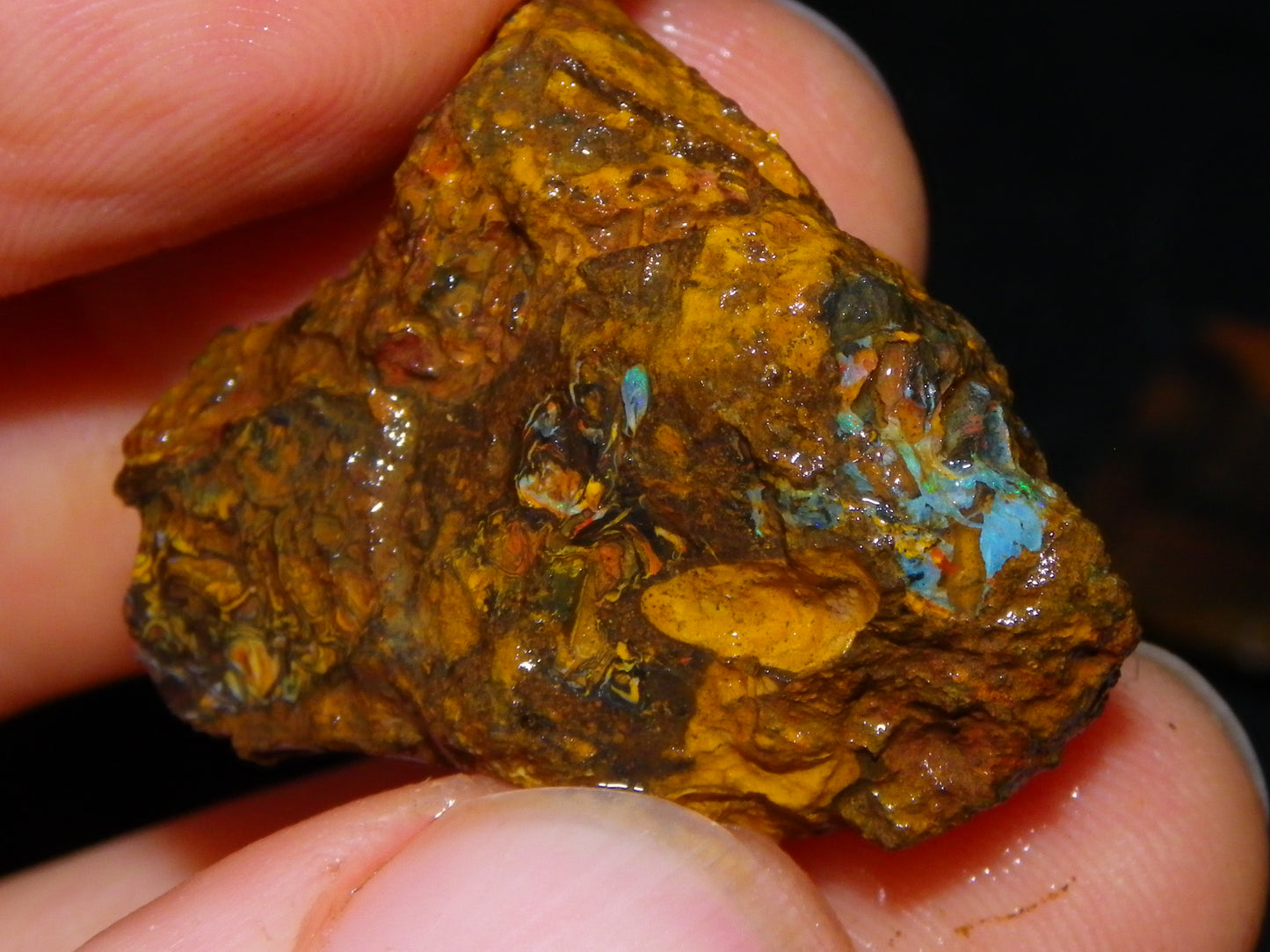 Larger Rough Koroit Opal Rough Parcel 1252cts Nuts/Patterns Some Fires Qld Australia