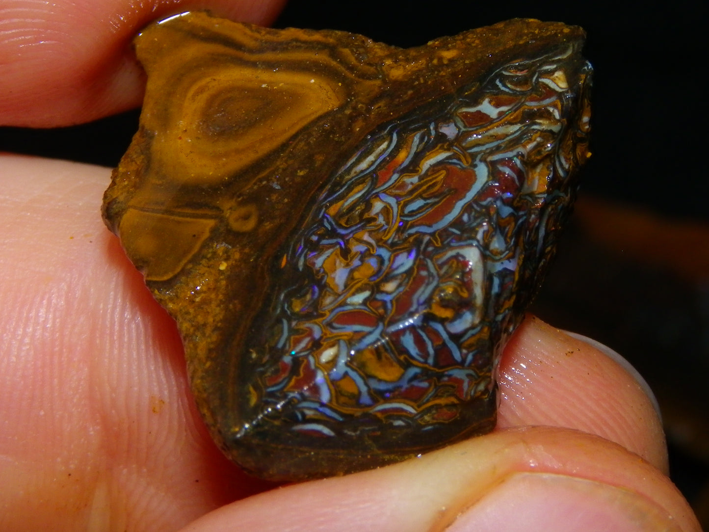 Larger Rough Koroit Opal Rough Parcel 1252cts Nuts/Patterns Some Fires Qld Australia