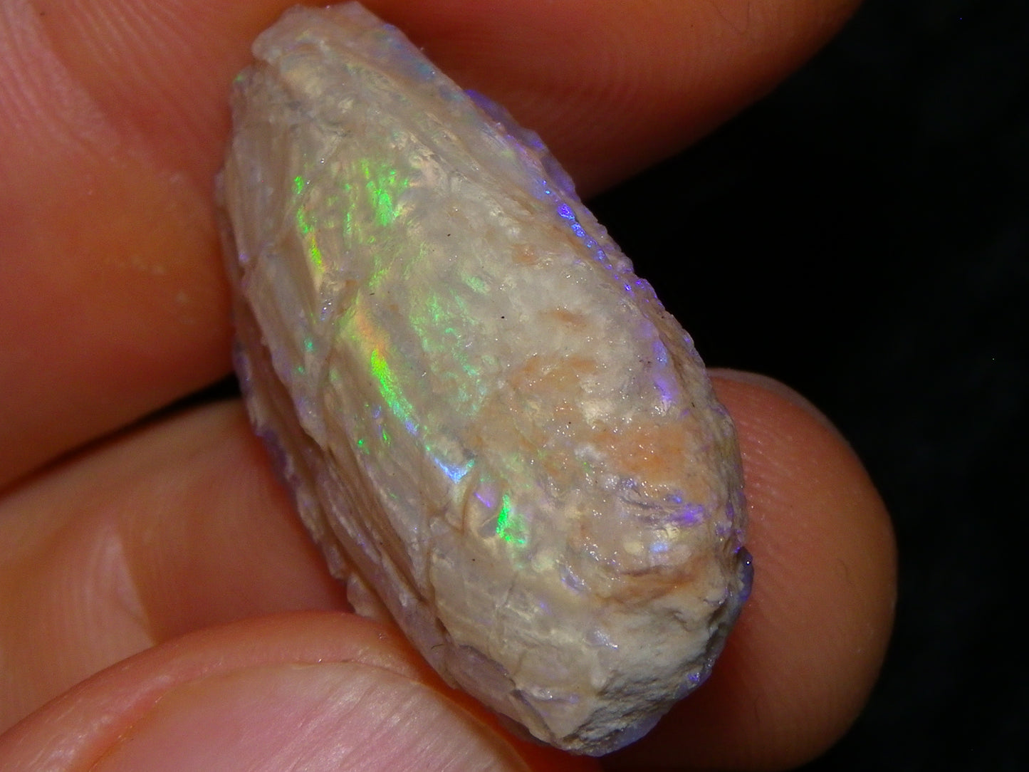 Quality Lightning Ridge Fossil Opal Rough Parcel 105cts Shell/Plants Fires Collectors
