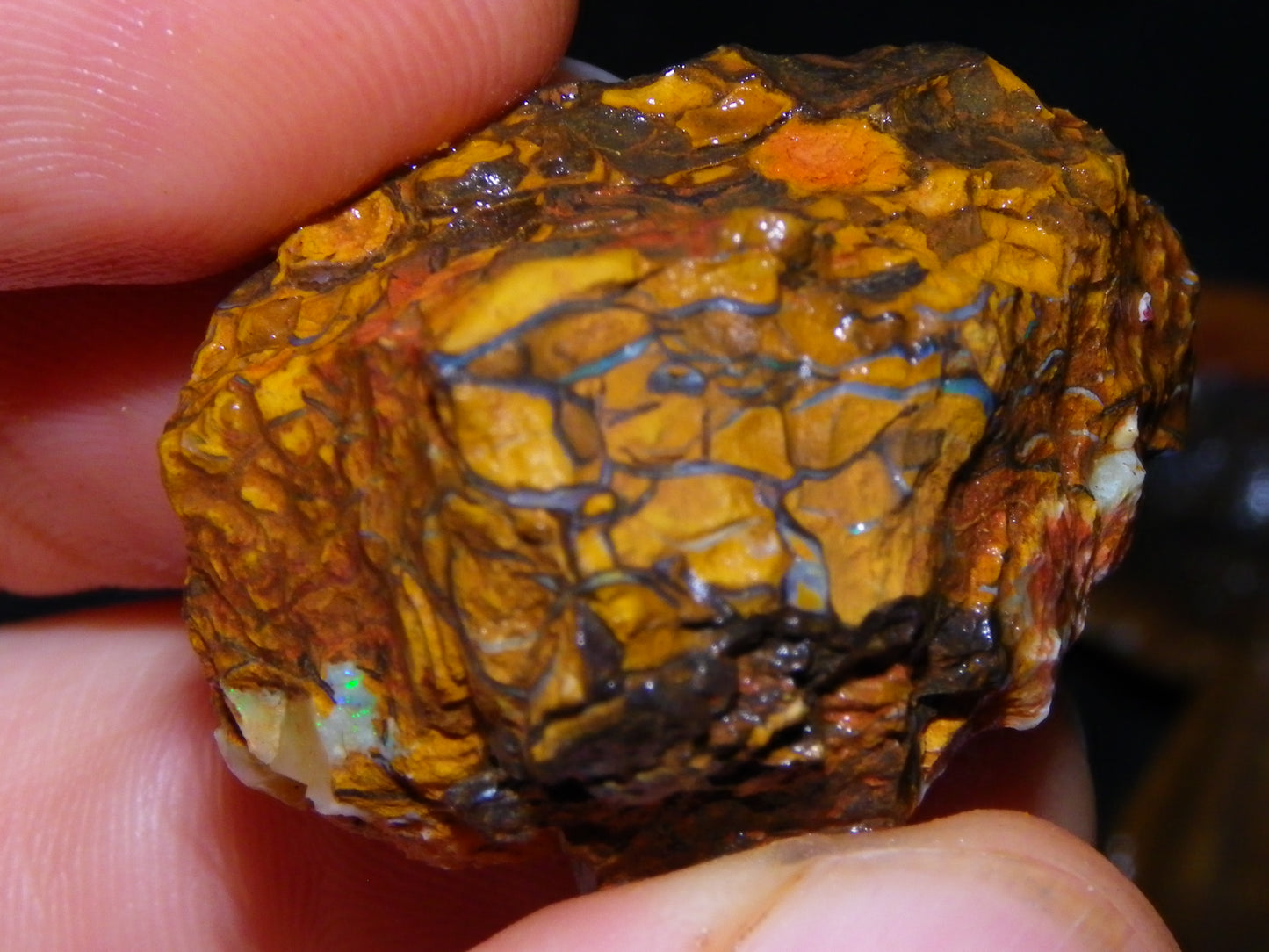 Larger Rough Koroit Opal Rough Parcel 1252cts Nuts/Patterns Some Fires Qld Australia