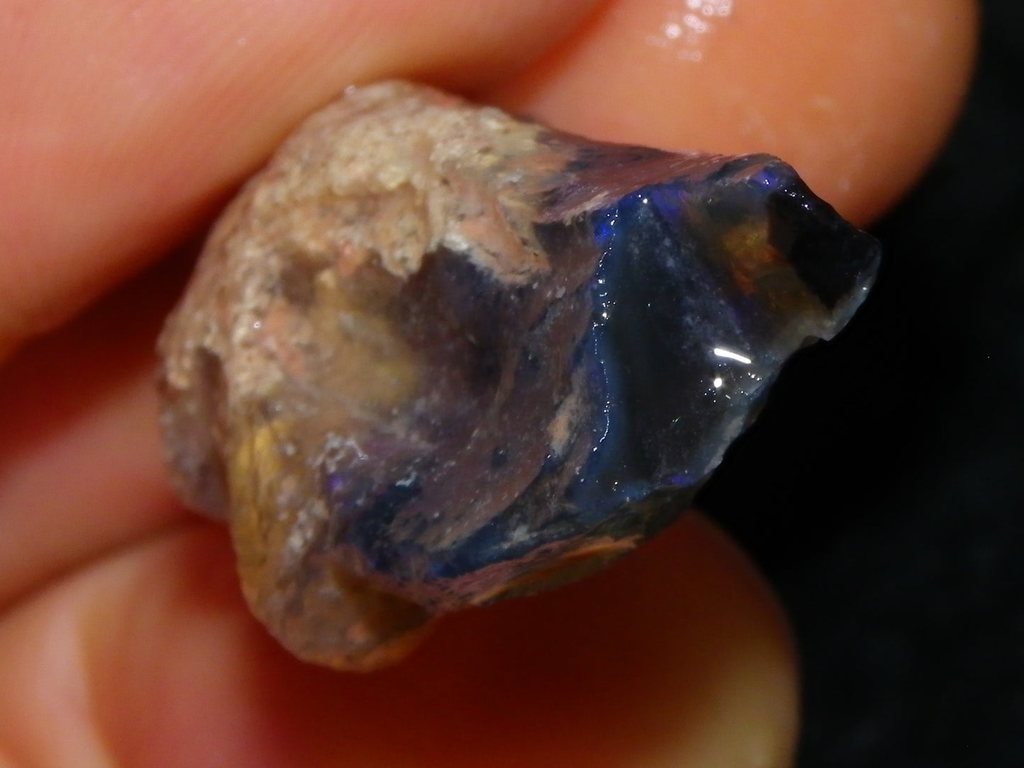 Quality Lightning Ridge Fossil Opal Rough Parcel 105cts Shell/Plants Fires Collectors