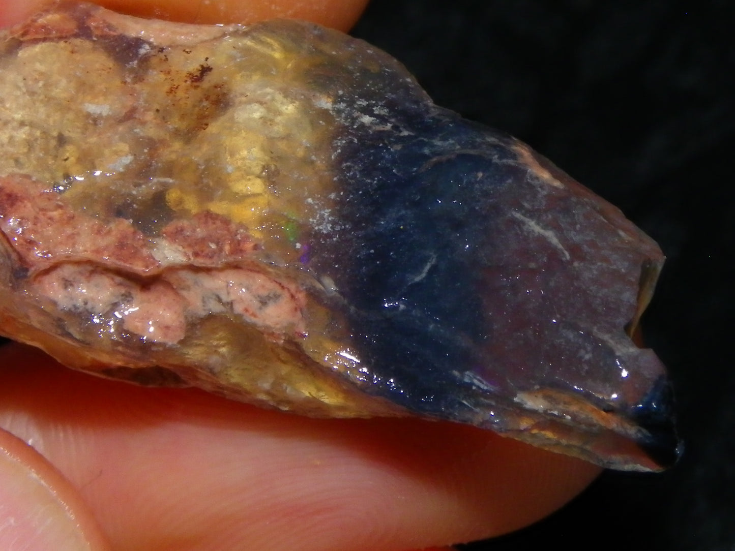 Quality Lightning Ridge Fossil Opal Rough Parcel 105cts Shell/Plants Fires Collectors