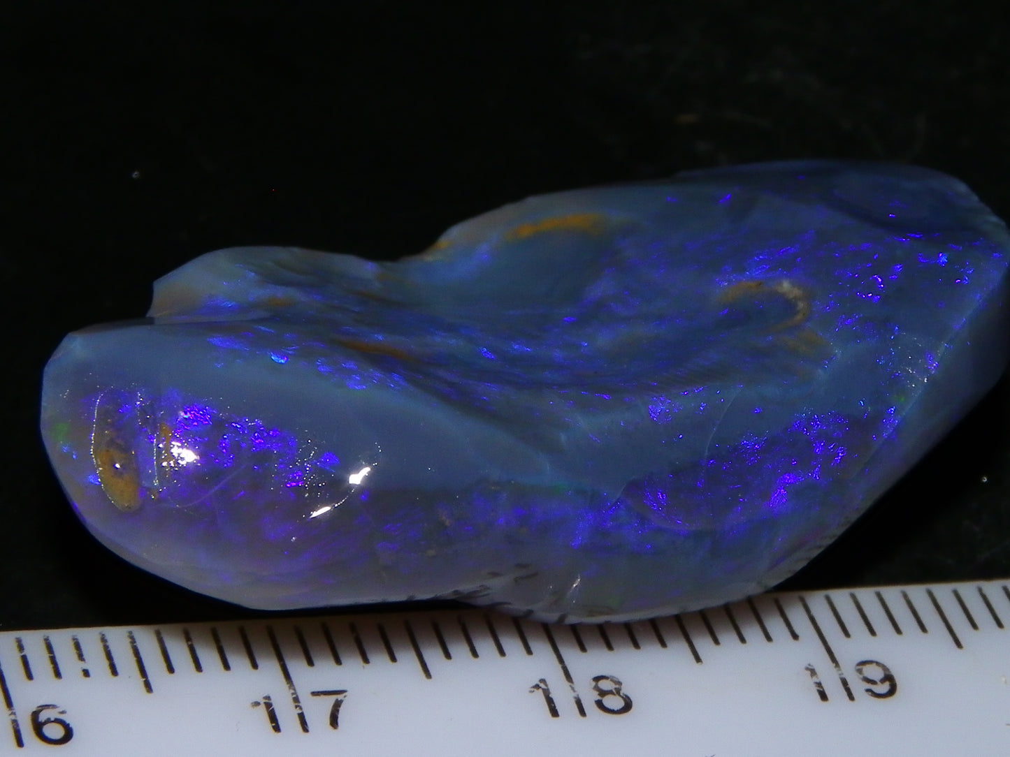 Large 51.3ct Lightning Ridge Dark Crystal Opal Rub/Rough Blue Fires Australia