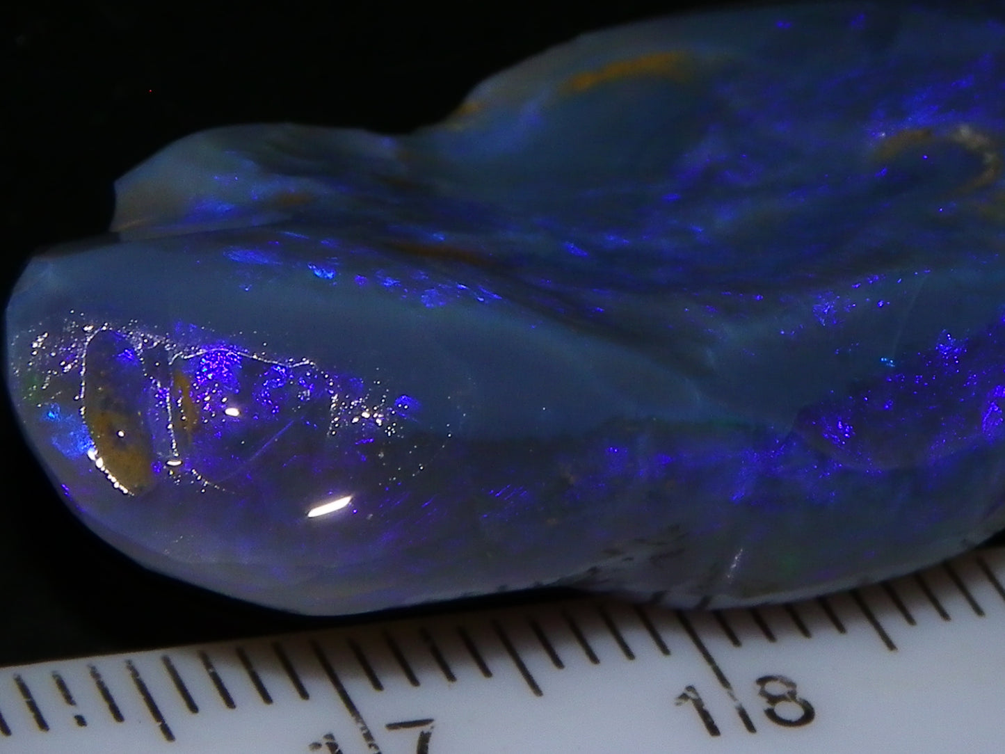 Large 51.3ct Lightning Ridge Dark Crystal Opal Rub/Rough Blue Fires Australia