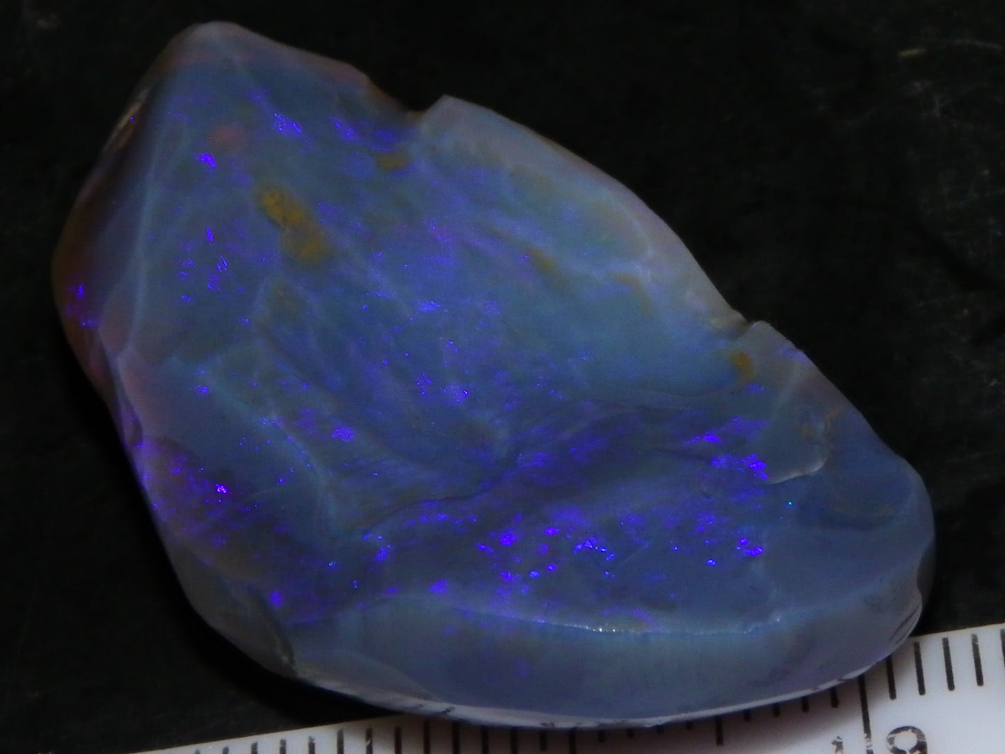 Large 51.3ct Lightning Ridge Dark Crystal Opal Rub/Rough Blue Fires Australia