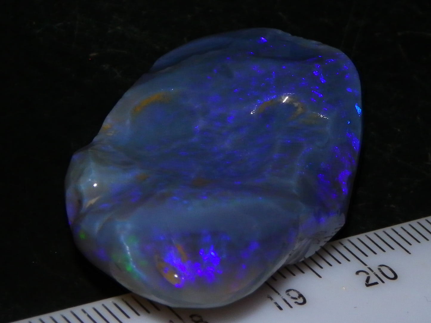 Large 51.3ct Lightning Ridge Dark Crystal Opal Rub/Rough Blue Fires Australia