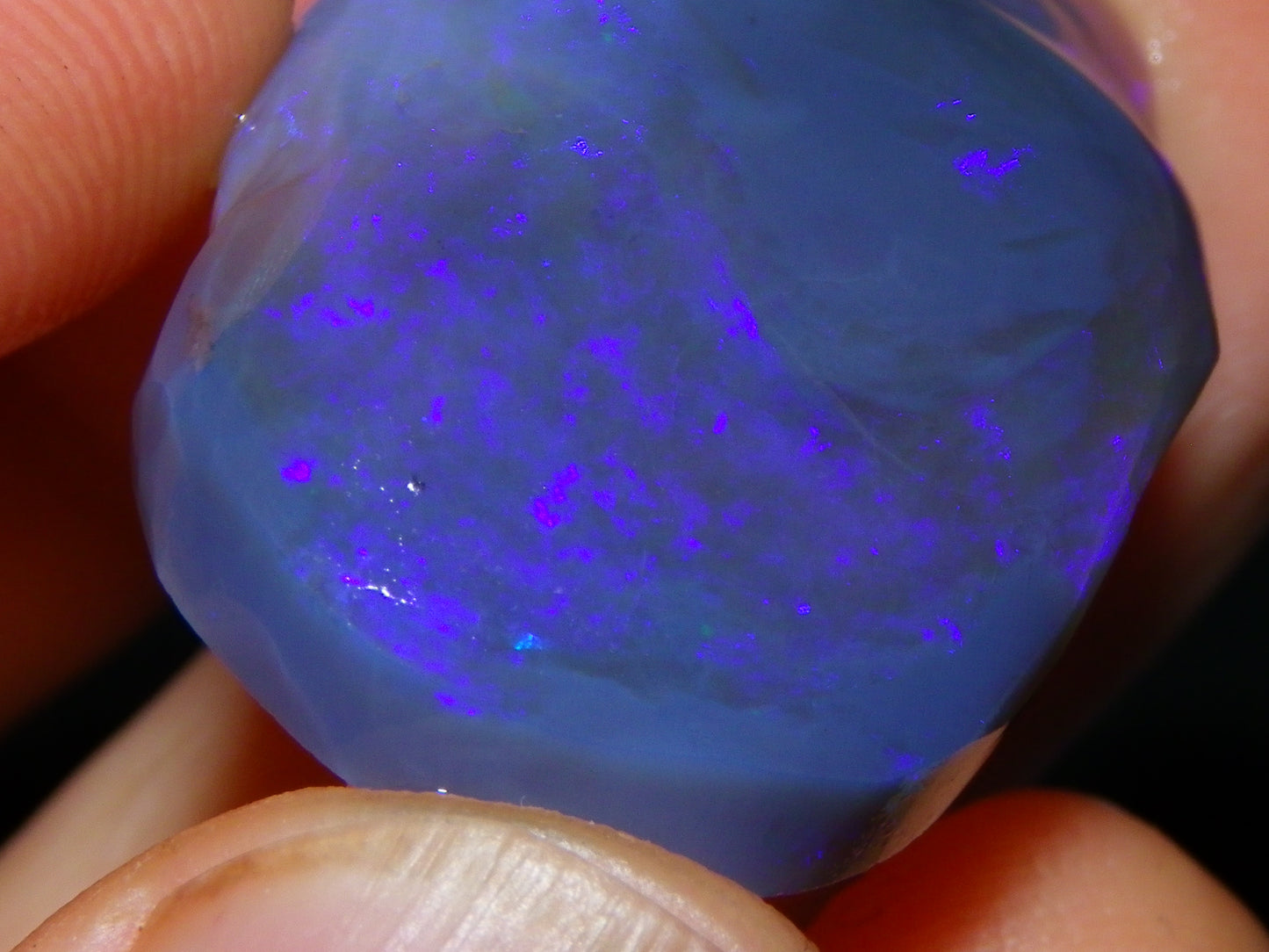 Large 51.3ct Lightning Ridge Dark Crystal Opal Rub/Rough Blue Fires Australia